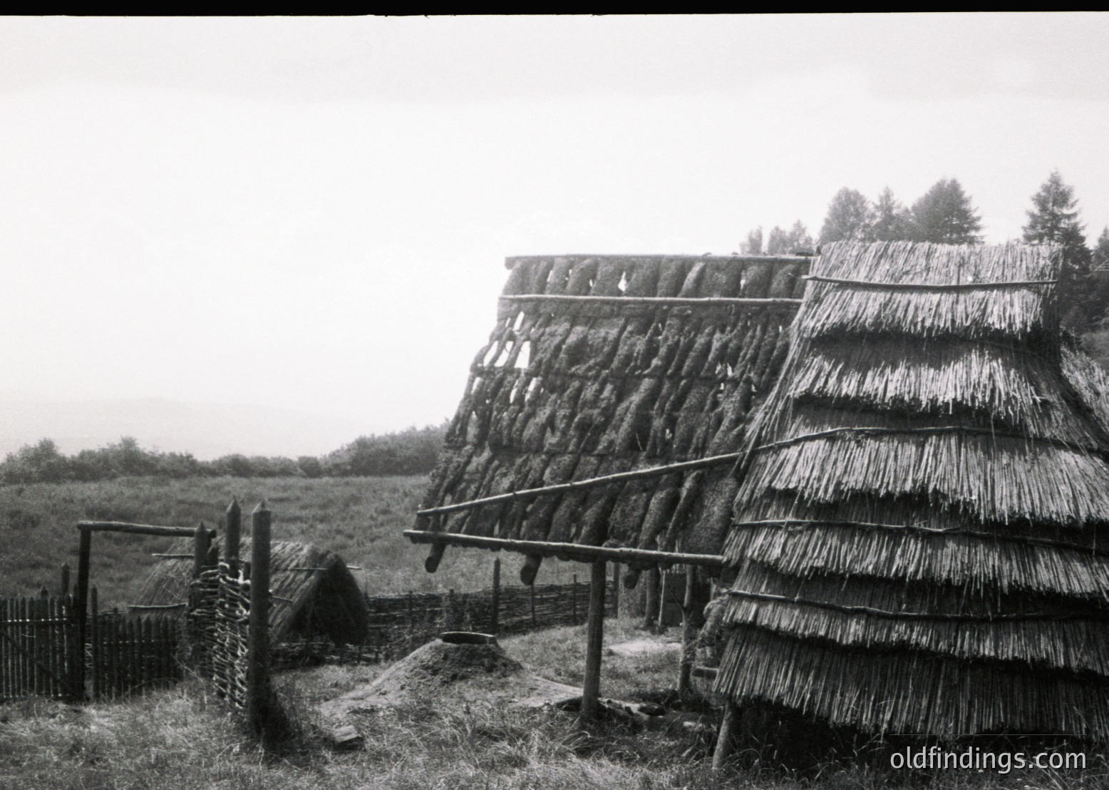 Traditional thatched-roof barns with wooden beams and hay drying racks in rural setting. Likely Eastern European countryside, mid-20th century.