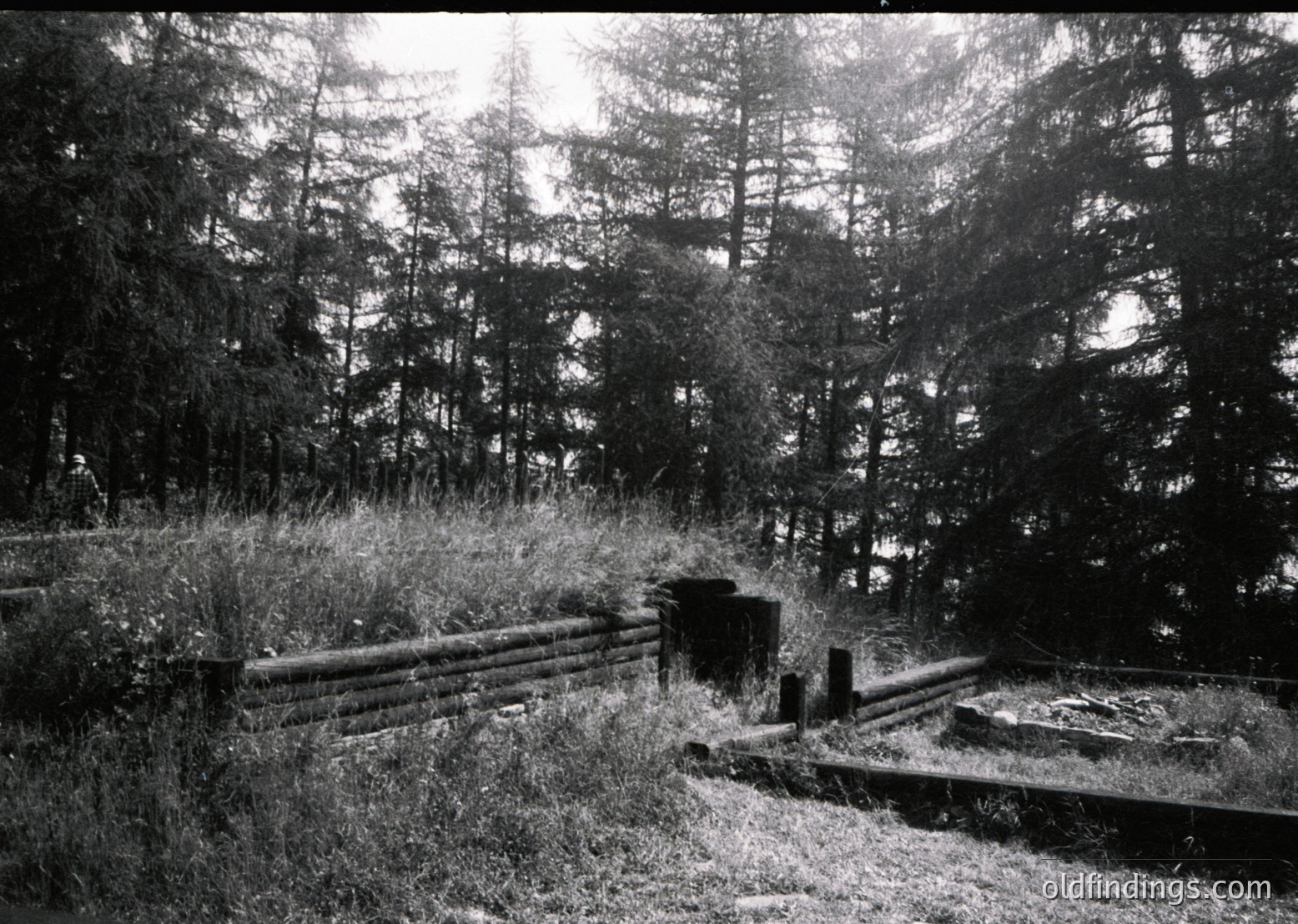 A weathered wooden fence and steps lead to a partially buried concrete structure in a dense forest. Sunlight filters through tall evergreens, casting dappled shadows. Likely a mid-20th century rural or abandoned site, possibly a former shelter or outbuilding.