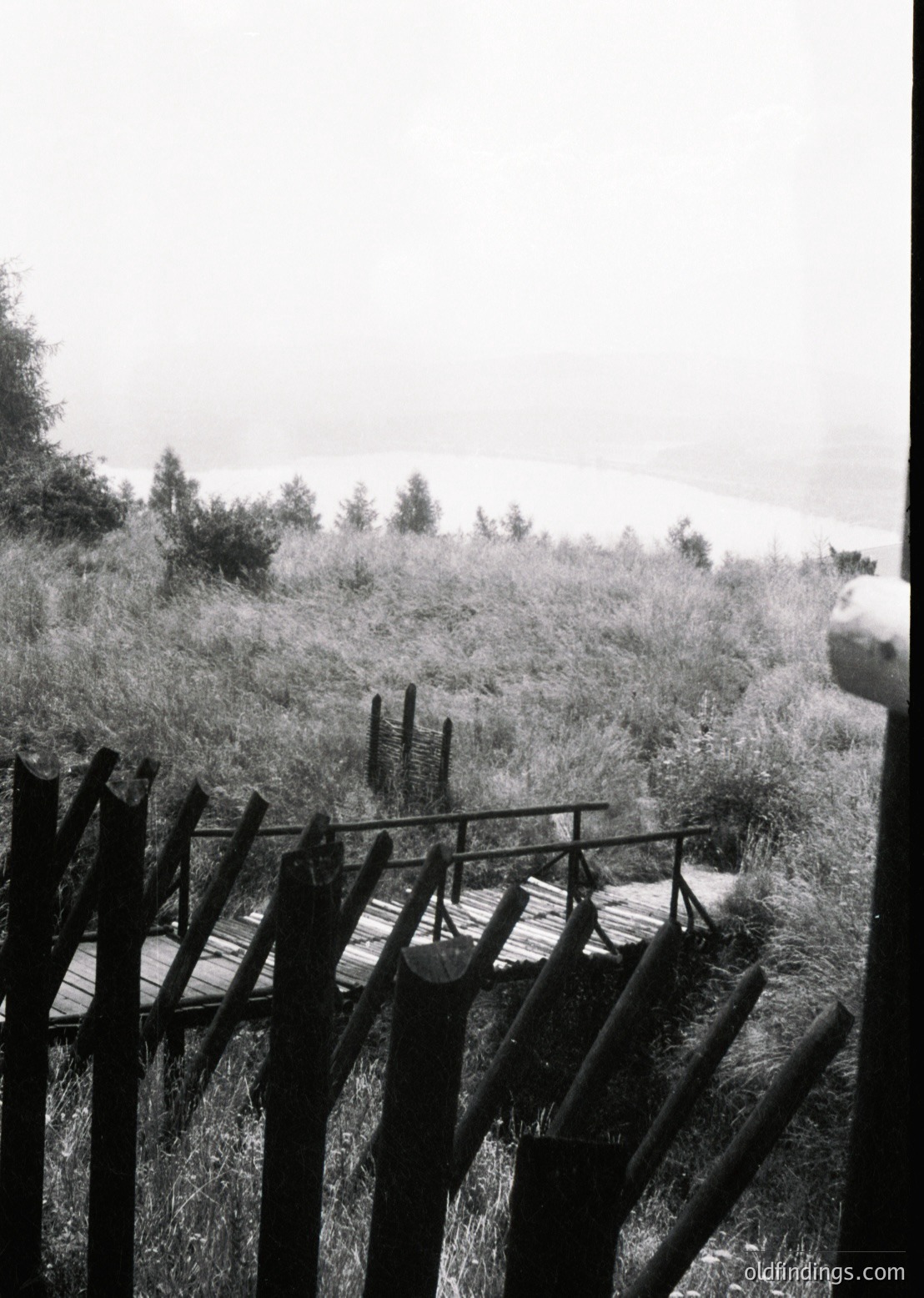 Rustic wooden fence and bridge leading through overgrown grass toward dense forest edge under overcast skies.