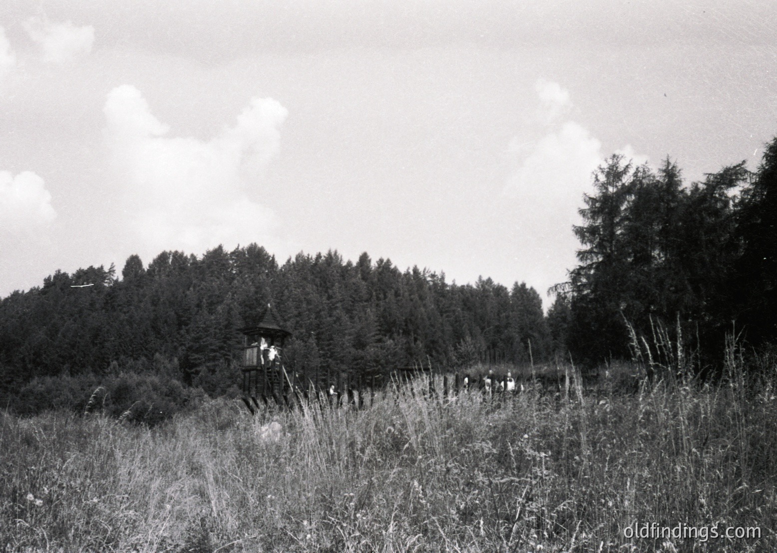 Black-and-white rural scene featuring a small wooden pavilion surrounded by dense forest and tall grass. Likely mid-20th century based on style and grain.