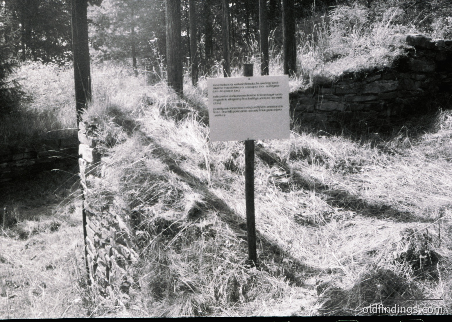 Vintage black-and-white sign warning of "dangerous slope" in forested area, likely mid-20th century. Stone wall and overgrown grass frame the path, suggesting rural or parkland setting. Text hints at cautionary infrastructure for public safety.