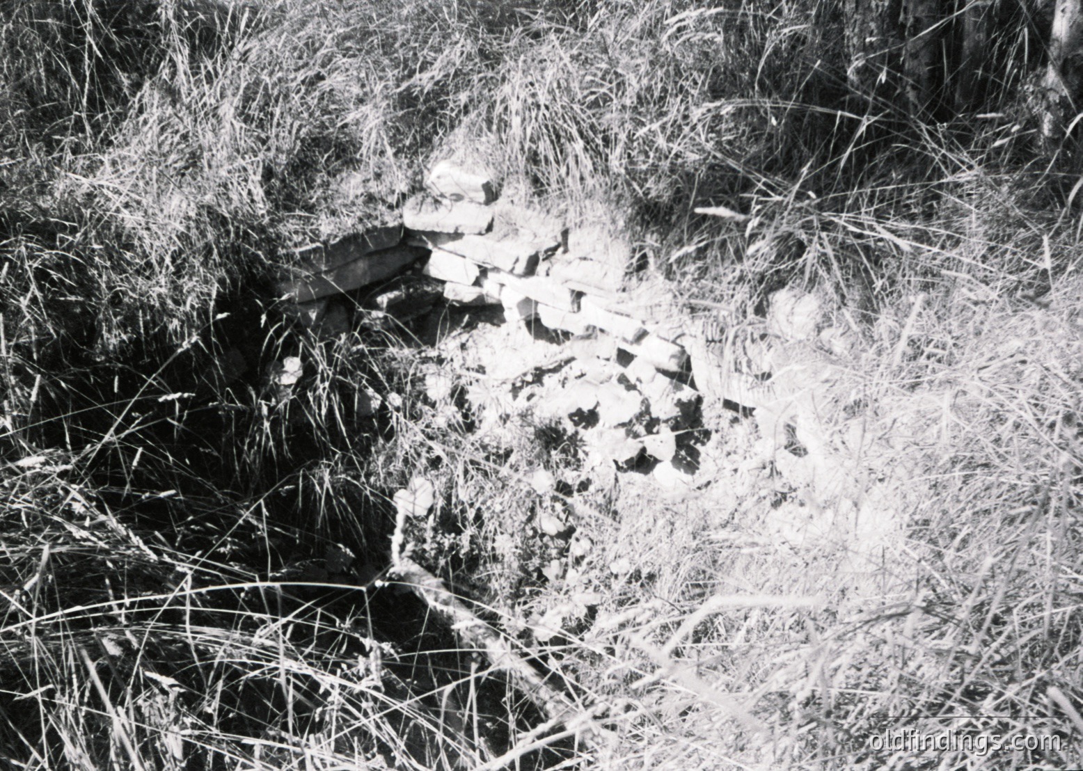 Ruined brick structure partially buried in overgrown grass, suggesting abandoned or weathered architecture. Likely mid-20th century based on style and grain. Potential historical site or archaeological context.