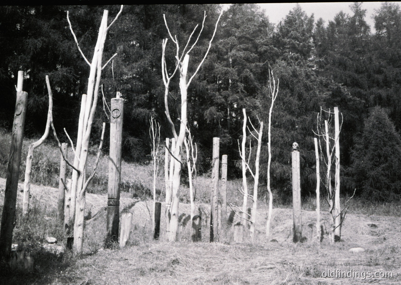 Barbed wire fence with wooden posts and razor wire atop, likely a Cold War-era border barrier. Dense forest in background suggests a remote, fortified zone. Mid-20th century construction, indicative of military or restricted zone demarcation.