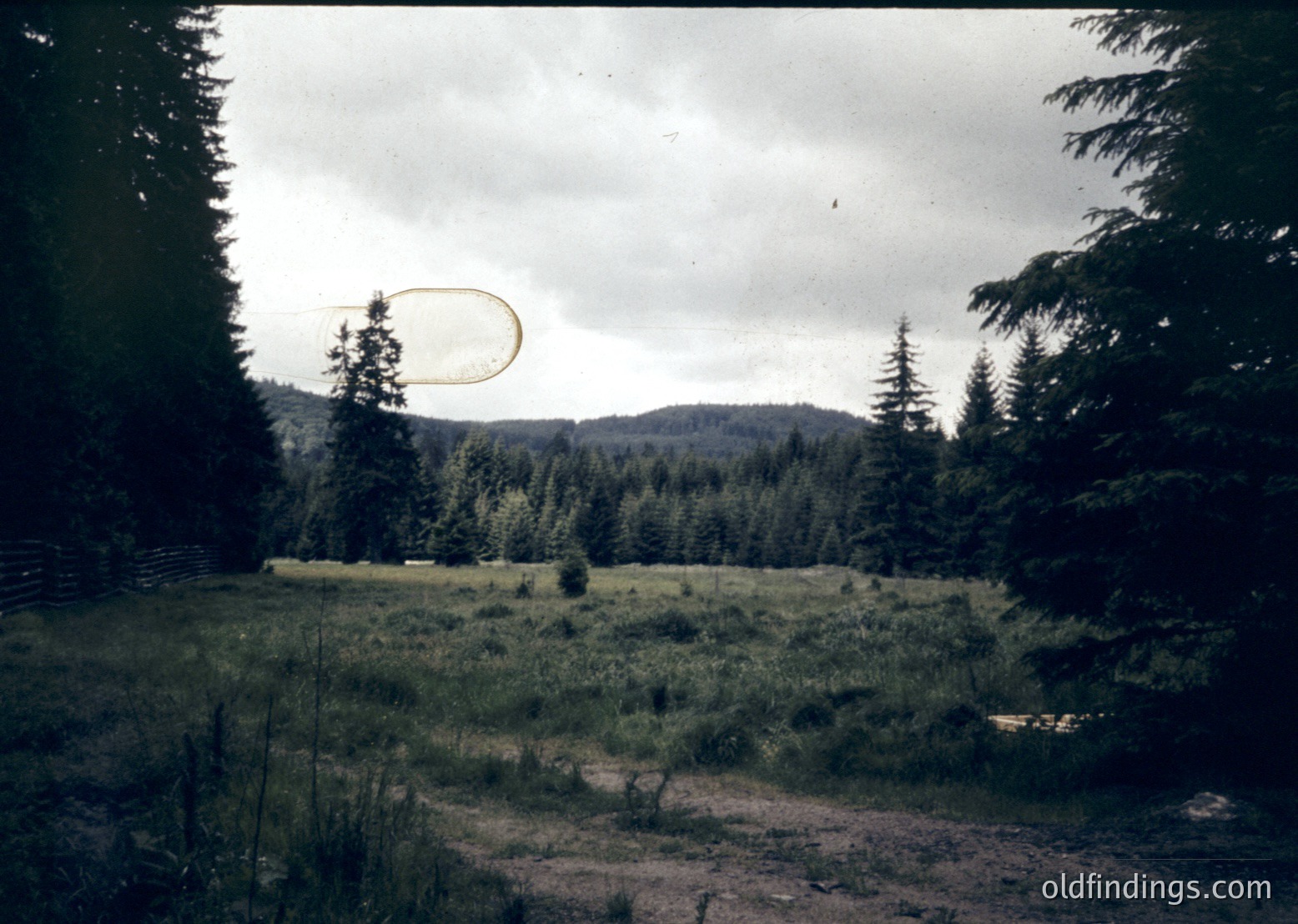 Vintage aerial photo of a rural landscape with a circular crop circle in a grassy field, surrounded by dense coniferous forest. Overcast sky suggests mid-20th century farming practices.