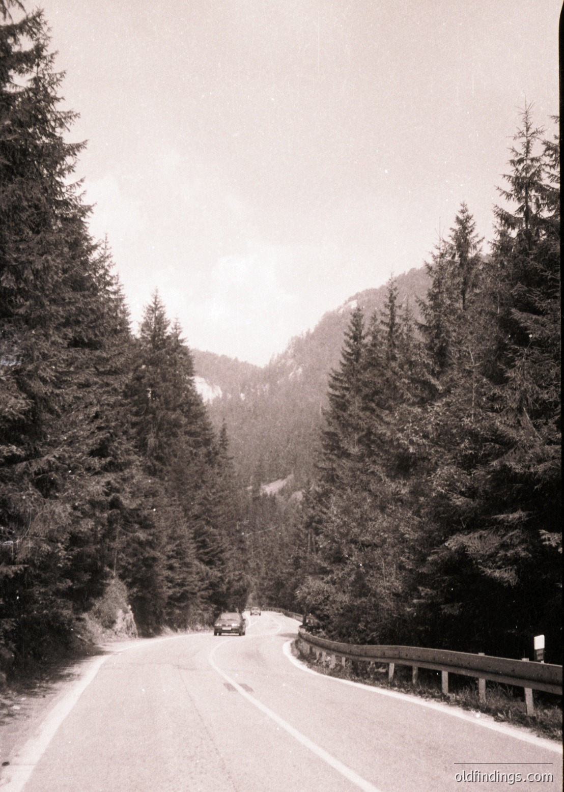 Black-and-white alpine road winding through dense coniferous forest, flanked by guardrails. A vintage car ascends toward snow-capped peaks, suggesting mid-20th century travel. Dramatic lighting enhances misty mountain backdrop.