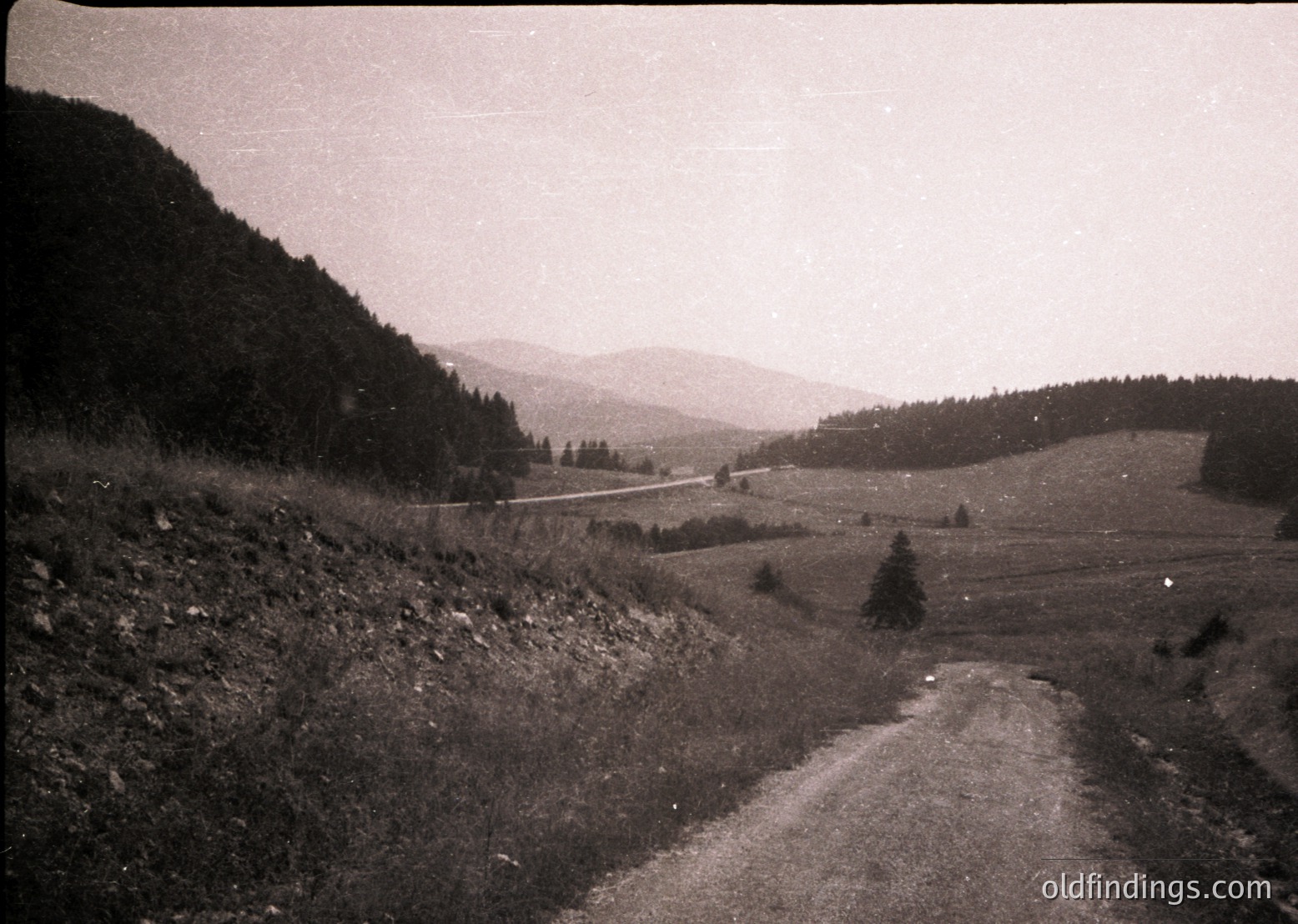 Vintage black-and-white landscape of a winding rural road flanked by forested hills, leading toward distant mountains. Overgrown vegetation and sparse trees frame the path, suggesting a mid-20th century European countryside setting.