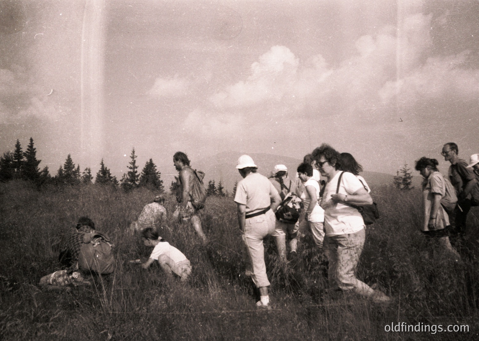 Vintage black-and-white group hiking in grassy alpine terrain, 1960s-70s. Casual attire—wide-brim hats, backpacks, and rolled pants—suggests a leisurely outdoor excursion. One person kneels to examine foliage, others pause in conversation. Dramatic cloud-lined sky contrasts with dense forest below. Ideal for mid-century travel or nature study references.