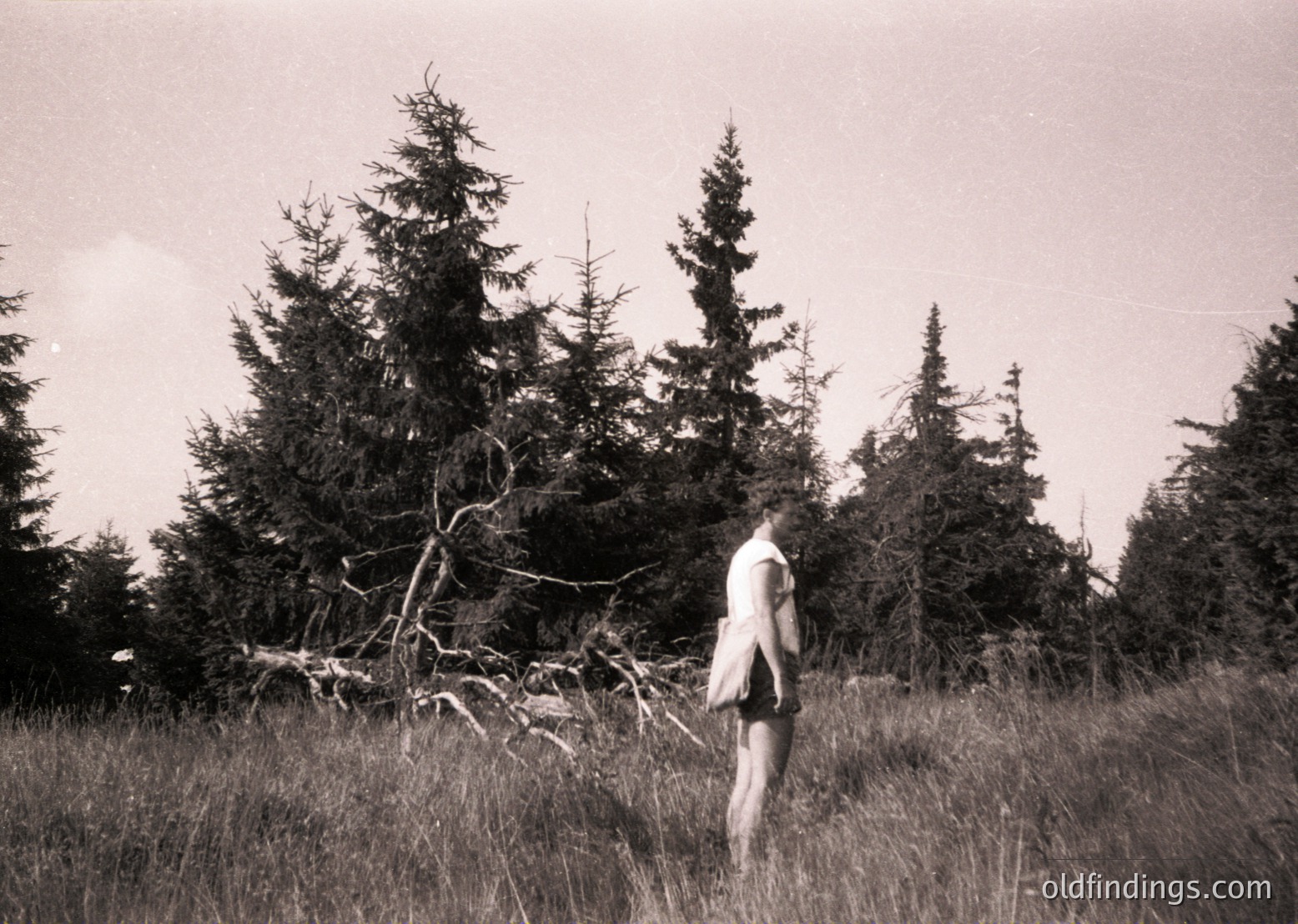 Black-and-white forest scene featuring a lone figure in mid-stride through tall grass, surrounded by dense coniferous trees. The individual wears a short-sleeve shirt and shorts, suggesting mid-century outdoor fashion. Fallen branches and uneven terrain indicate a natural, undisturbed environment. Likely mid-20th century, possibly or .