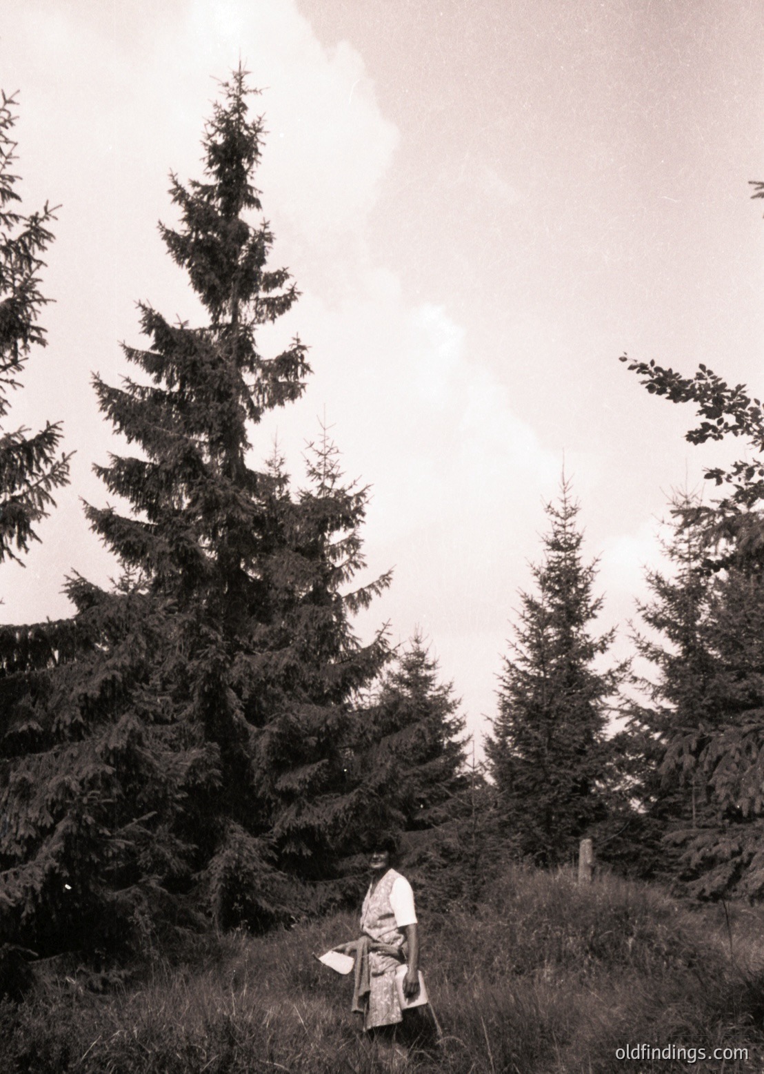Black-and-white forest scene featuring a lone figure in traditional alpine attire, seated on a rock among dense coniferous trees. The person appears to be resting or preparing food, surrounded by tall pines and a misty, overcast sky. Likely or early European alpine region.