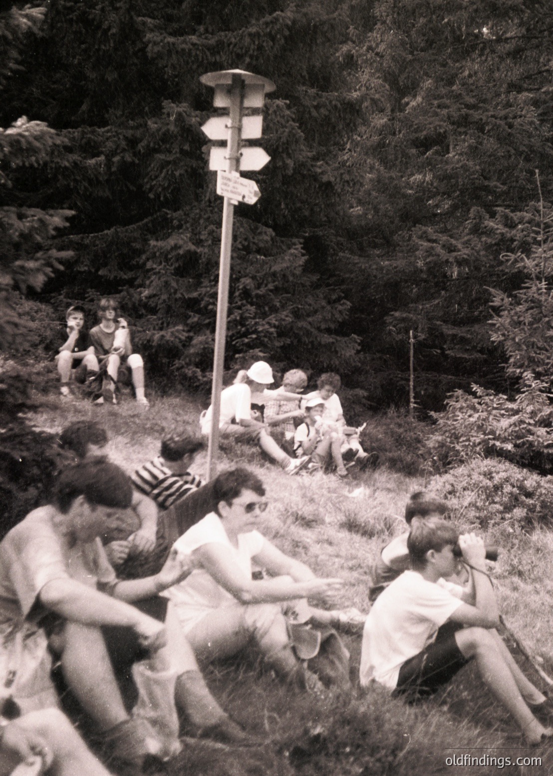 Black-and-white snapshot of a group of young people relaxing in a forested area, likely mid-20th century. Central wooden signpost with directional arrows pointing to "Lake," "Hut," and "Forest." Casual summer attire—shorts, tank tops, and hats—suggests a leisure outing. Dense pine trees frame the scene, indicating a mountainous or alpine setting.