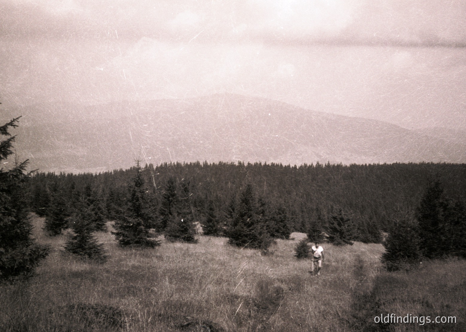 Vintage black-and-white landscape featuring two figures hiking through a forested hillside. Dense coniferous trees dominate the midground, leading to rolling mountains under a cloudy sky. Mid-20th century outdoor photography with rugged terrain and natural scenery.