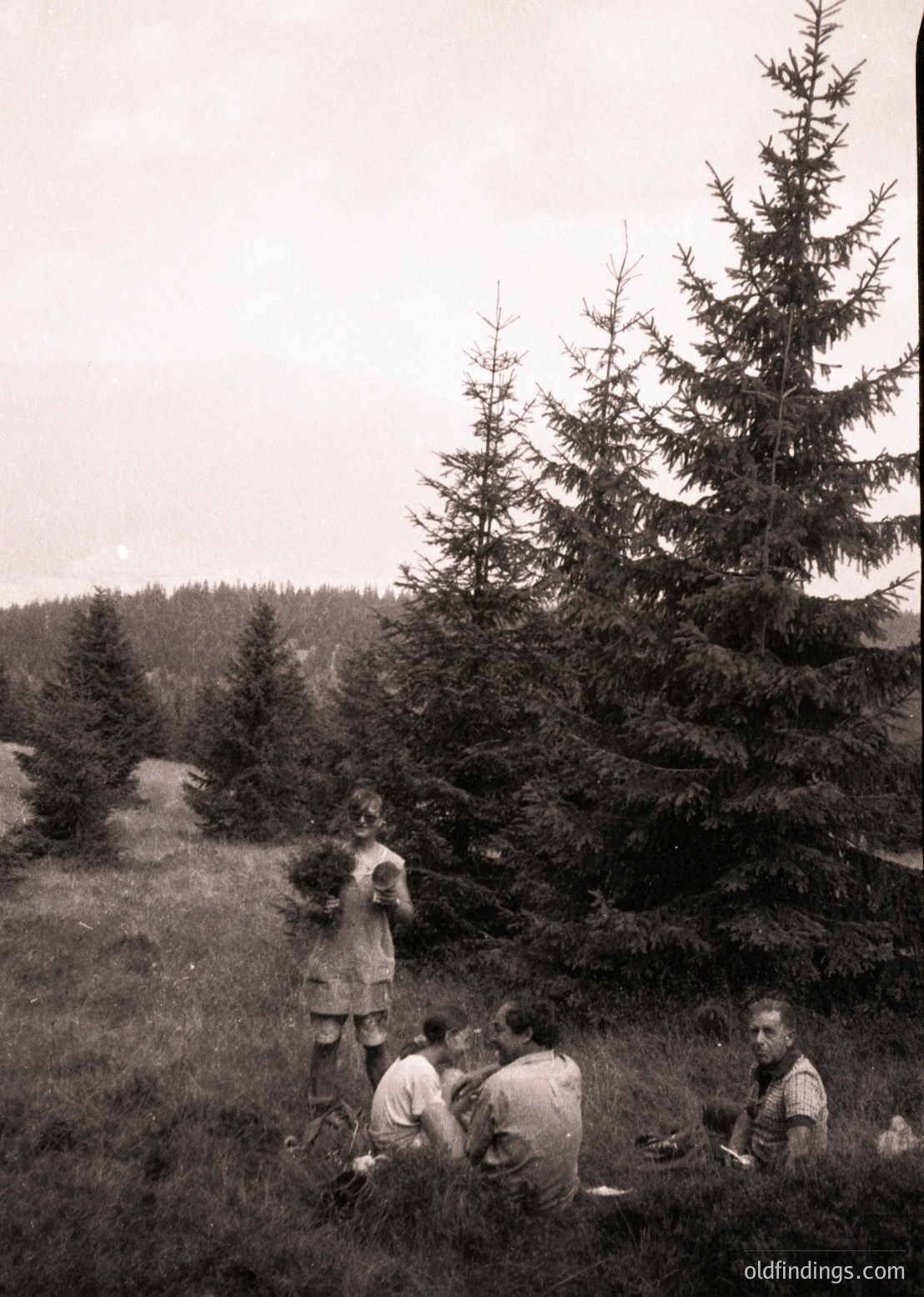 Black-and-white forest scene featuring four individuals in outdoor work attire, likely mid-20th century. Three sit on grass near a felled tree, while one stands holding a large branch. Dense pine forest and rolling terrain in background.