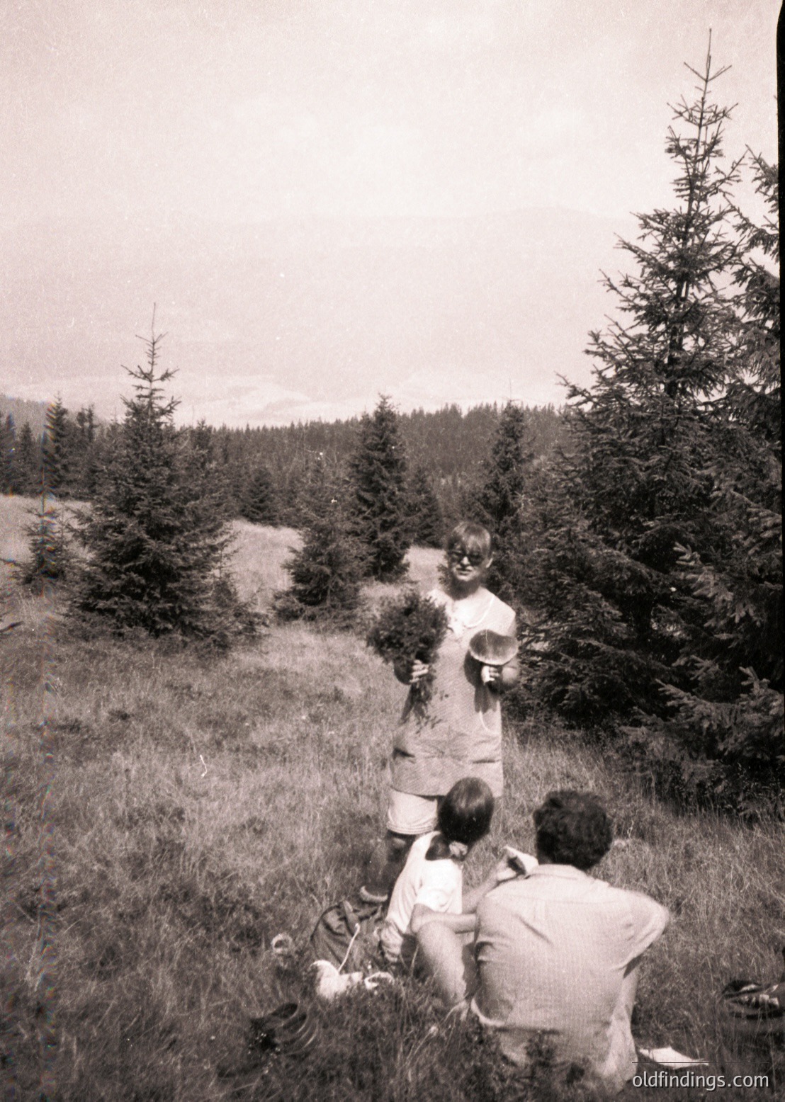 Three figures in mid-20th-century outdoor attire—woman in wide-brimmed hat holding flowers, child in light shirt, man in button-up—pose on grassy hillside. Dense coniferous forest and distant mountains frame the scene. Likely or European countryside, evoking mid-century family life and nature appreciation.