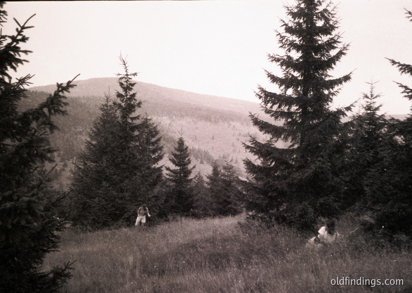 Black-and-white landscape featuring two figures in a forested meadow, framed by dense coniferous trees. One person stands, the other sits on grassy terrain with rolling hills in the background. Likely mid-20th century outdoor recreation scene.