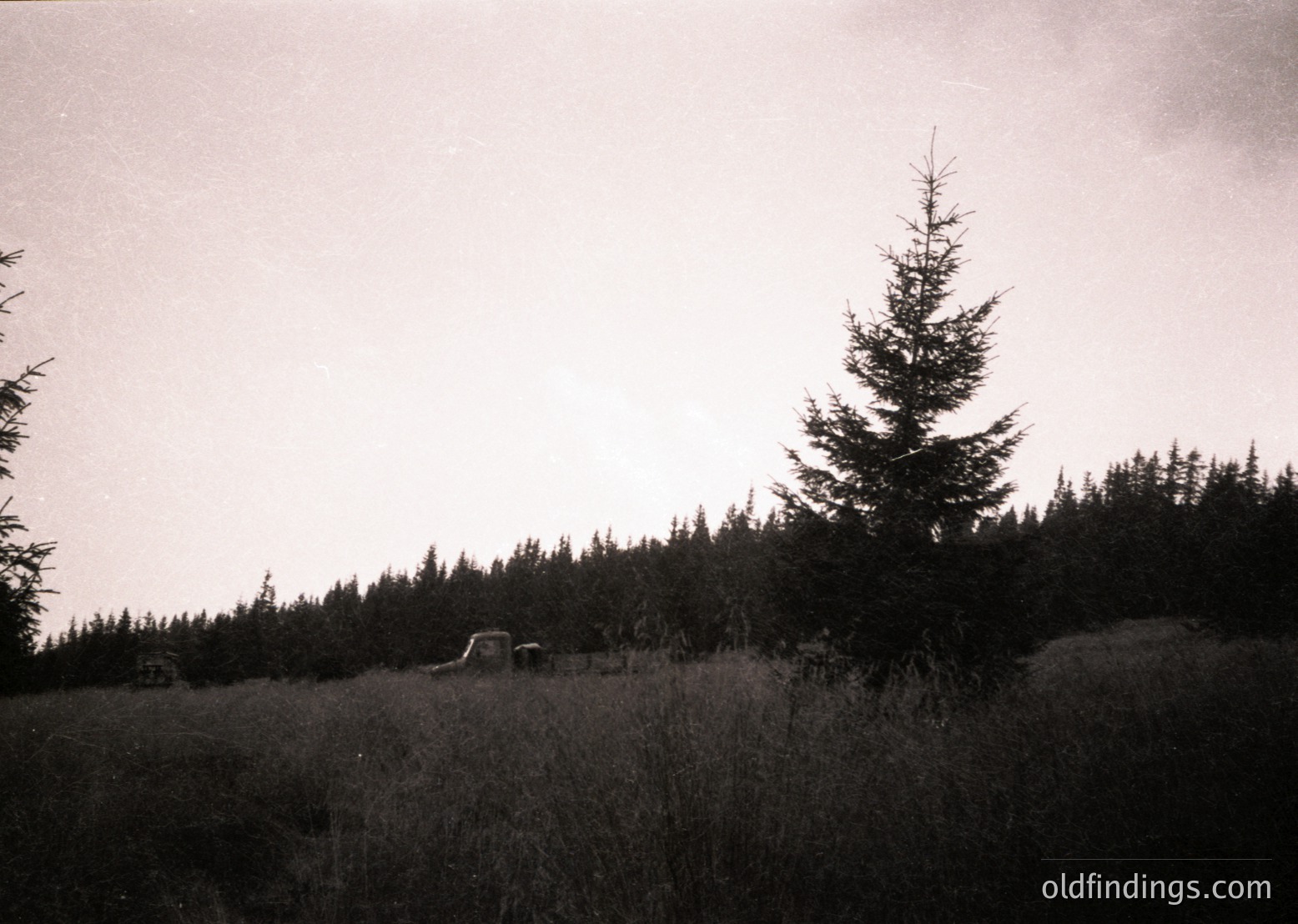 Vintage black-and-white shot of a rural landscape featuring dense coniferous forest and a lone tractor in a grassy field. The composition highlights mid-20th century agricultural machinery and untouched natural scenery, likely European.