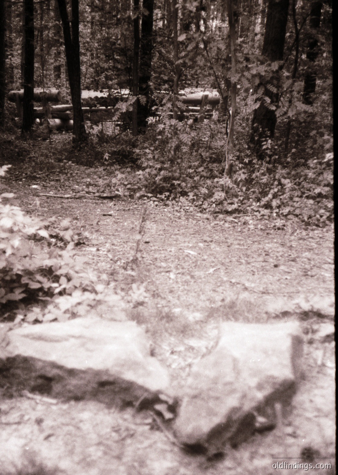 A monochrome forest path winding through dense woodland, partially covered in snow. Mossy boulders and fallen logs line the trail, creating a rugged, natural pathway. The scene evokes a serene, untouched wilderness, likely in a temperate climate. Ideal for nature photography and environmental studies.