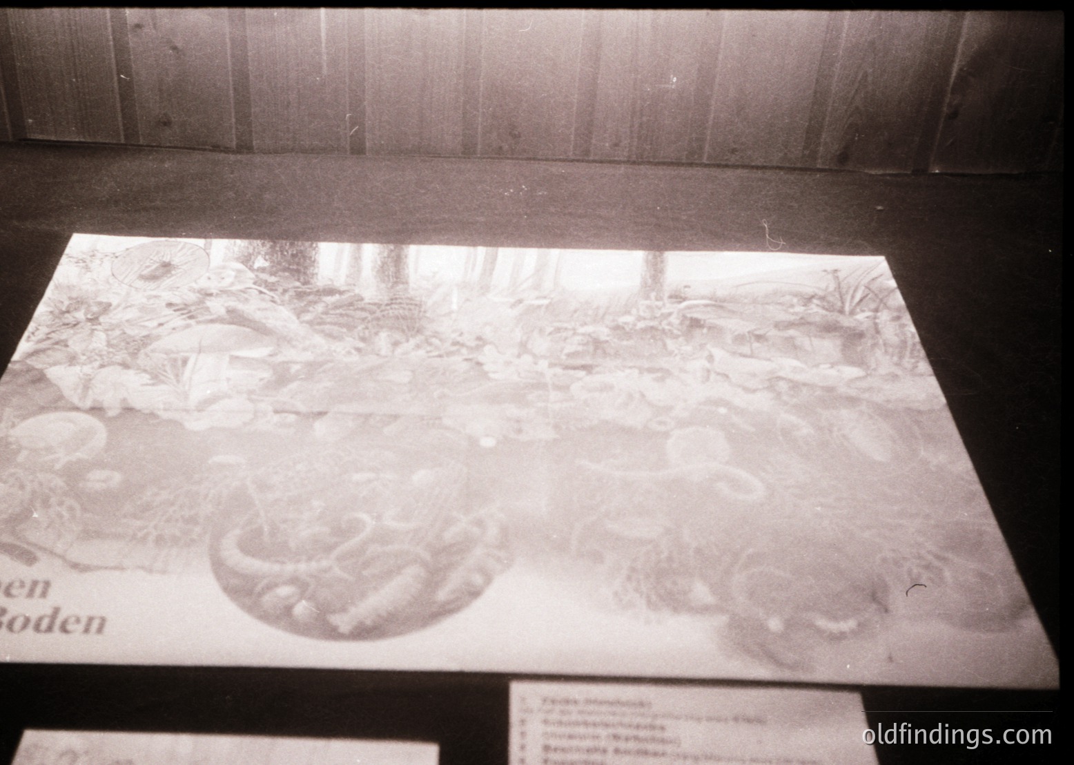Vintage black-and-white display of a 19th-century Dutch still-life painting featuring a table laden with food, including a large cheese wheel, bread, and grapes. Text in Dutch suggests an exhibition context ( )
