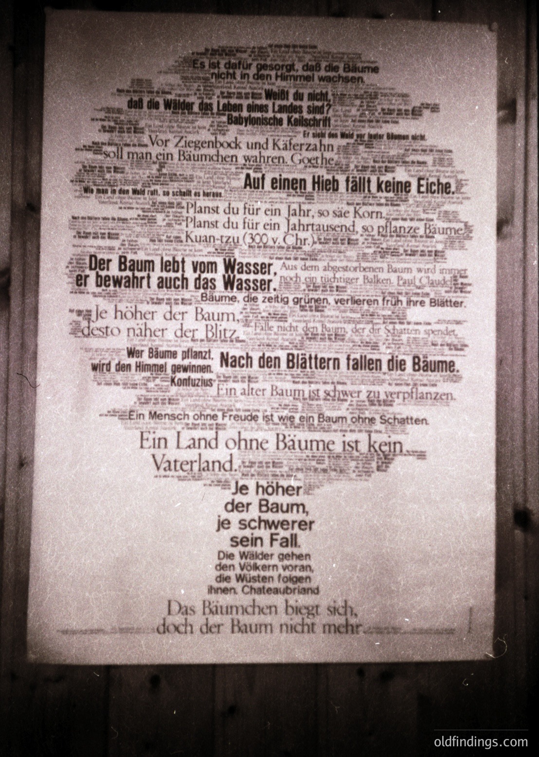 Vintage German text-based wall art featuring poetic quotes about trees and nature, likely from the 20th century. Handwritten or stenciled in dense, overlapping script for a layered, artistic effect. Evokes environmental consciousness and literary themes.