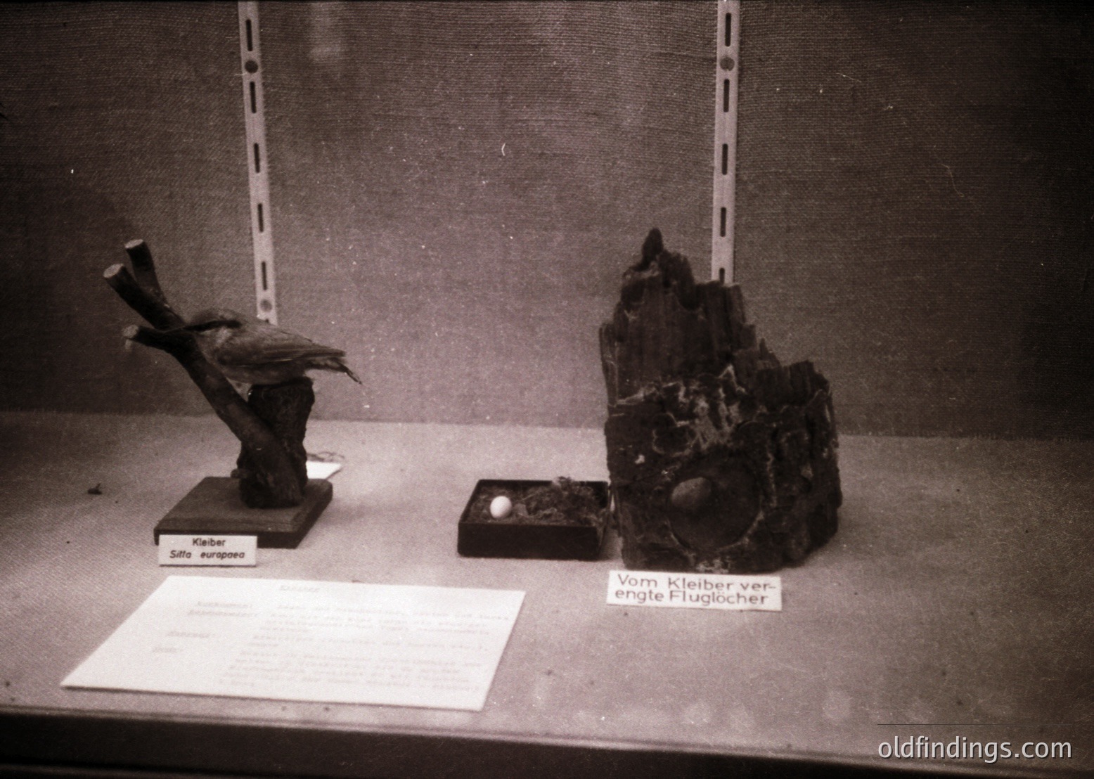 Artistic sculptures displayed in a museum setting. Left: bronze stork perched on twisted branch pedestal labeled *"Kleber Storch"* (1960s-70s). Right: abstract charcoal/charred wood block with embedded sphere, labeled *"Vom Kleber-veredelte Flugelcher"* (1960s German avant-garde). Industrial shelving and minimal lighting suggest institutional display.
