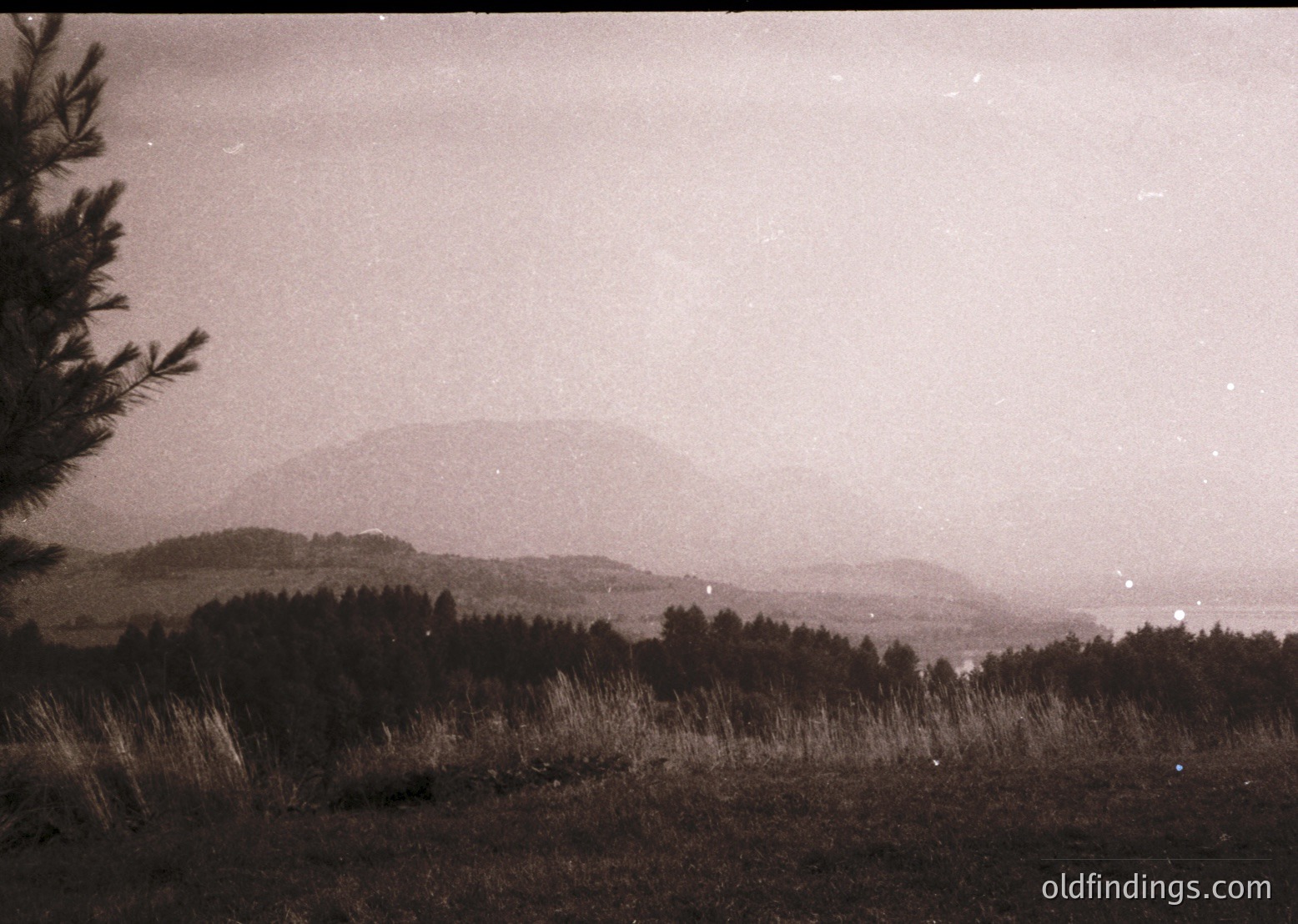 Vintage black-and-white landscape featuring misty, rolling hills and dense forest. Foreground grass appears slightly overgrown, suggesting rural or untouched terrain. Distant village or settlement faintly visible through haze.