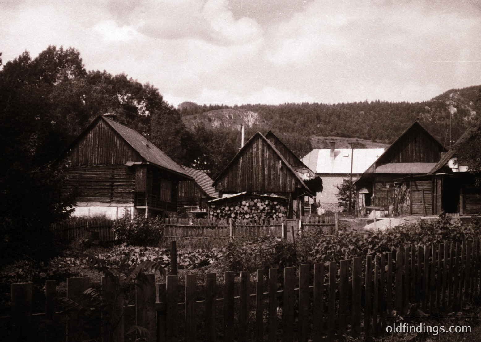 Vintage sepia-toned rural farmstead with timber-framed houses, likely Eastern European . Wooden fences, stacked firewood, and lush greenery surround the property. Rolling forested hills in background suggest agricultural or pastoral life.