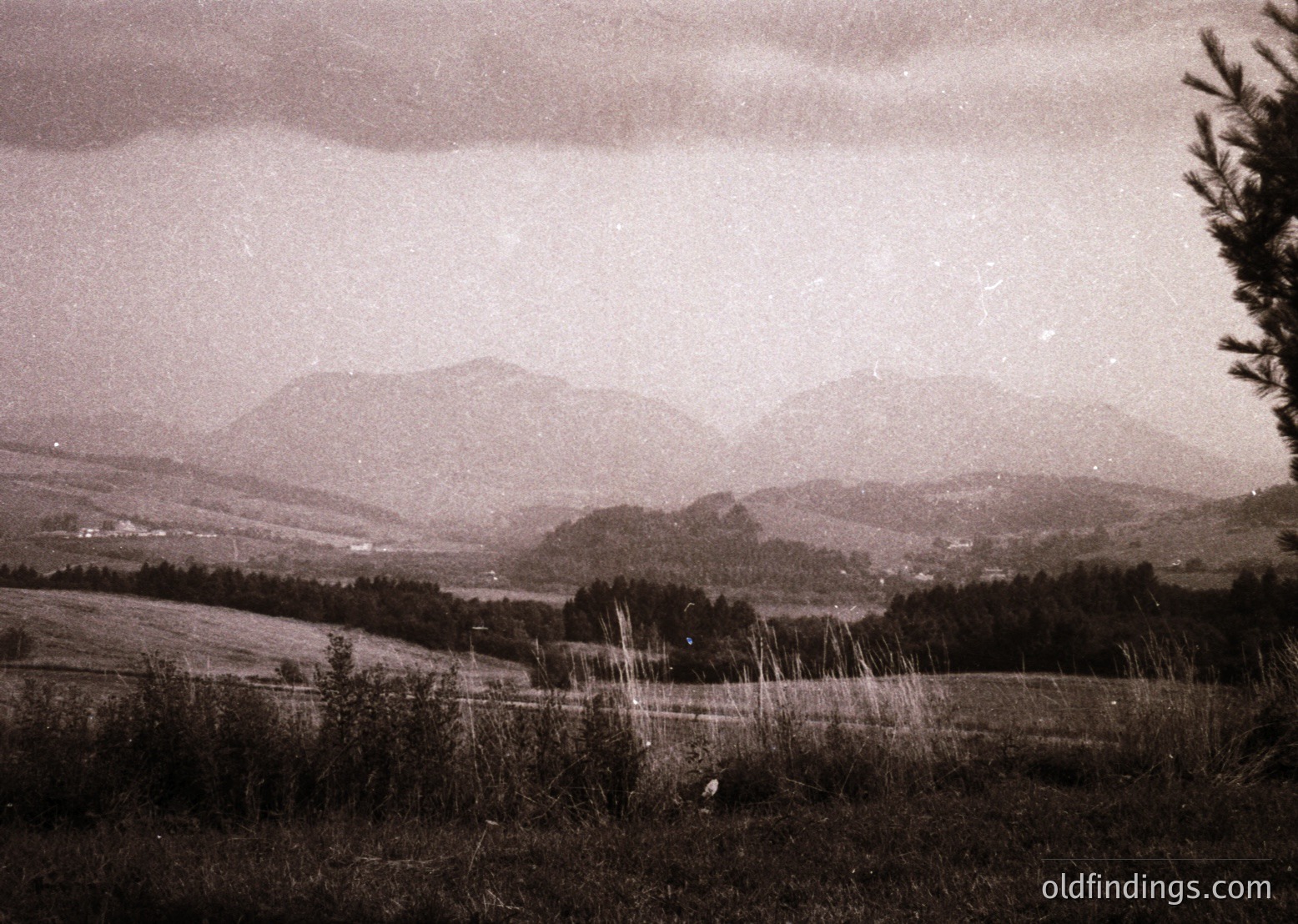 Vintage sepia-toned landscape featuring rolling hills, dense forests, and distant mountains under a moody sky. Foreground shows dry grass and sparse vegetation, likely from a mid-20th century black-and-white photograph.
