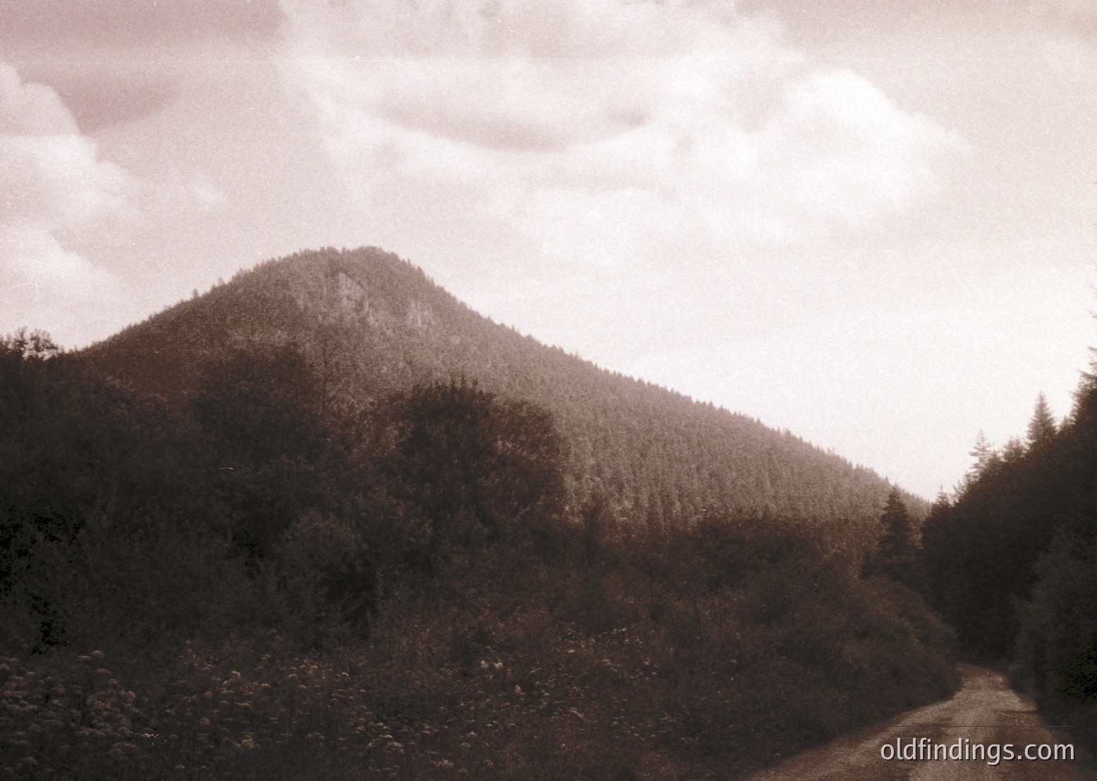 Vintage sepia-toned mountain landscape with dense forest and winding dirt road. Dramatic cloud cover frames the peak, evoking early 20th-century travel photography.