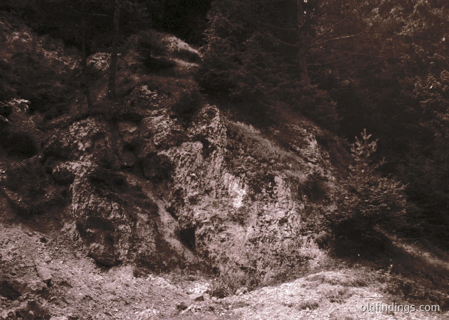 Monochrome close-up of ancient rock carvings depicting a seated figure, likely a historical or mythological depiction. The intricate, weathered details suggest significant cultural or religious importance. Possible location: Alpine or Scandinavian region. Likely dates to prehistoric or early medieval era.