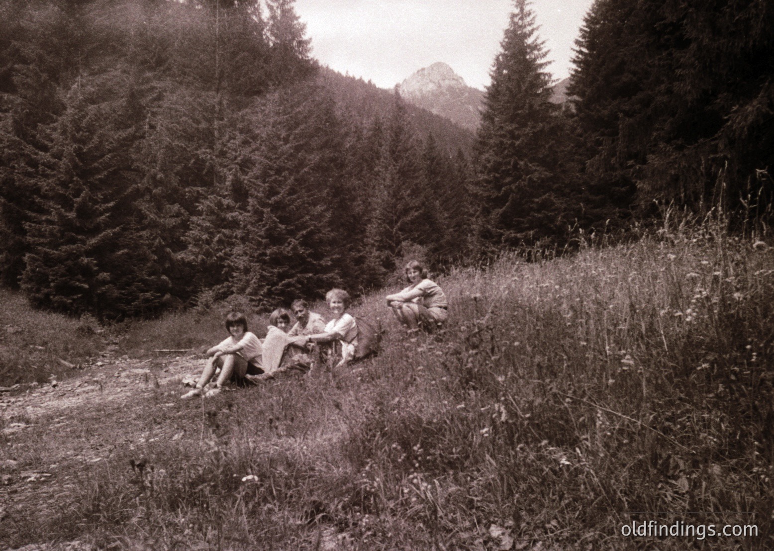 Four children pose casually on a sunlit alpine meadow, surrounded by dense pine forest and distant peaks. Mid-20th century (1950s–1960s) outdoor lifestyle.