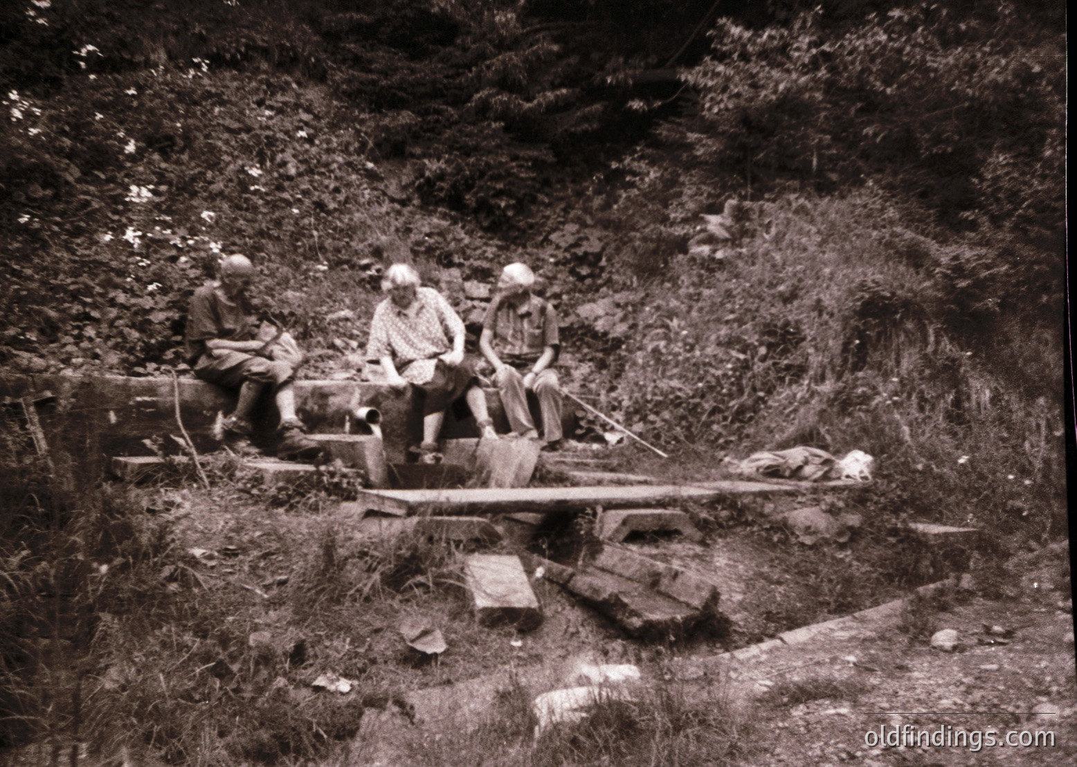 Three individuals seated on makeshift wooden bench in rugged alpine forest, mid-20th century. Lush greenery and rocky terrain suggest a remote, mountainous location. Clothing hints at outdoor labor or hiking attire.