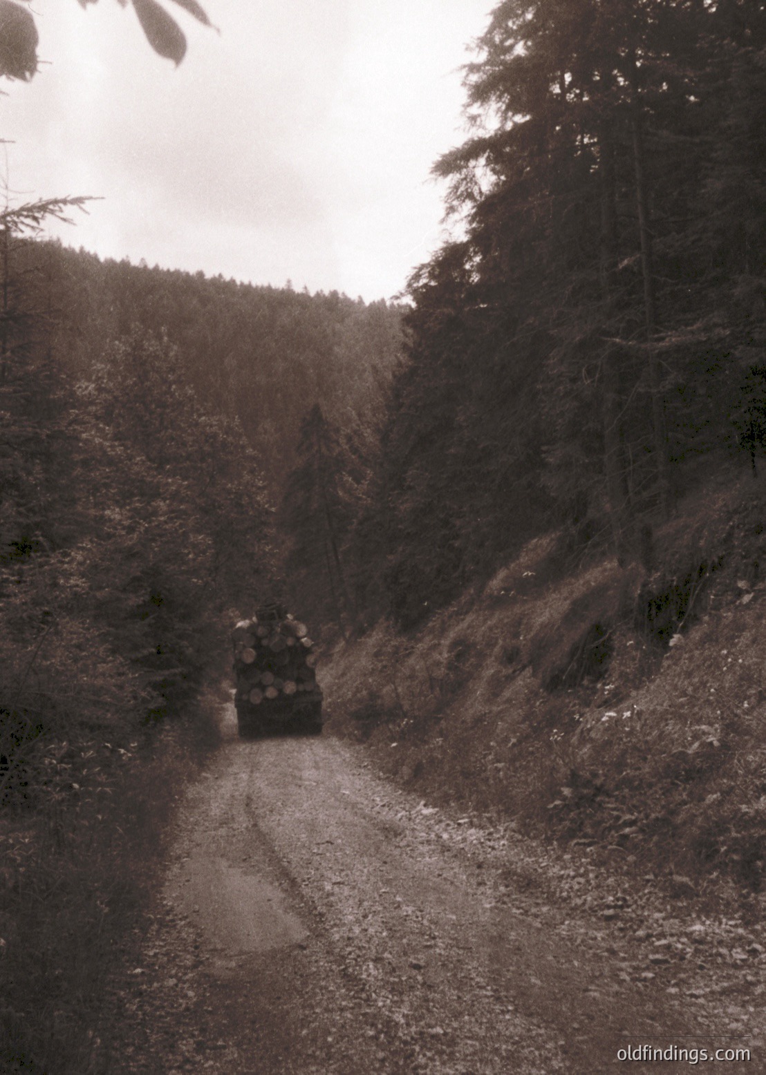 Black-and-white vintage photo of a rugged dirt road winding through a forested mountain pass. A military truck with camouflage netting and a mounted machine gun traverses the path, flanked by dense pine trees and rocky terrain. Suggests mid-20th century military logistics in alpine regions.