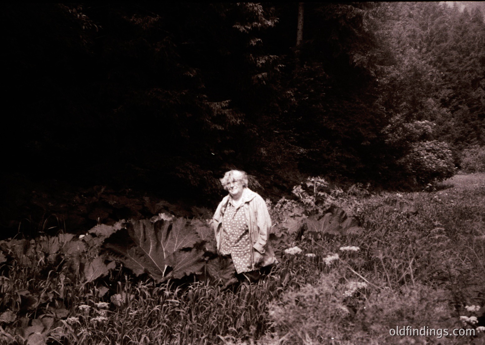 Black-and-white portrait of an elderly woman standing on a forested path, surrounded by dense foliage and large leaves. She wears a patterned coat and glasses, holding a small object in her right hand. Likely mid-20th century, possibly .