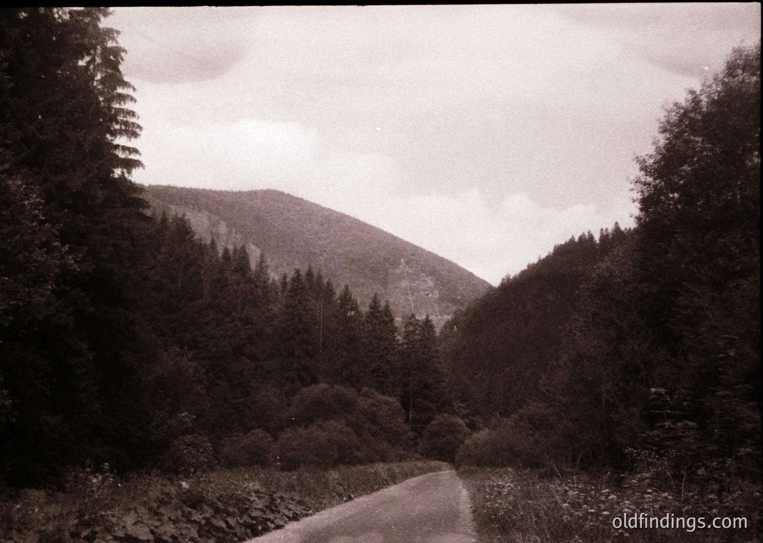 Vintage sepia-toned mountain road winding through dense coniferous forest, leading to a misty ridge. Classic black-and-white aesthetic with high-contrast lighting. Evokes mid-20th century travel or nature photography.