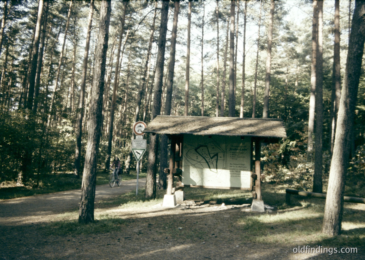 Vintage wooden bus shelter in dense pine forest, featuring graffiti and a faded signboard. Path and road visible through tall trees, suggesting a rural or park setting. Likely Eastern Bloc-era design (, ).
