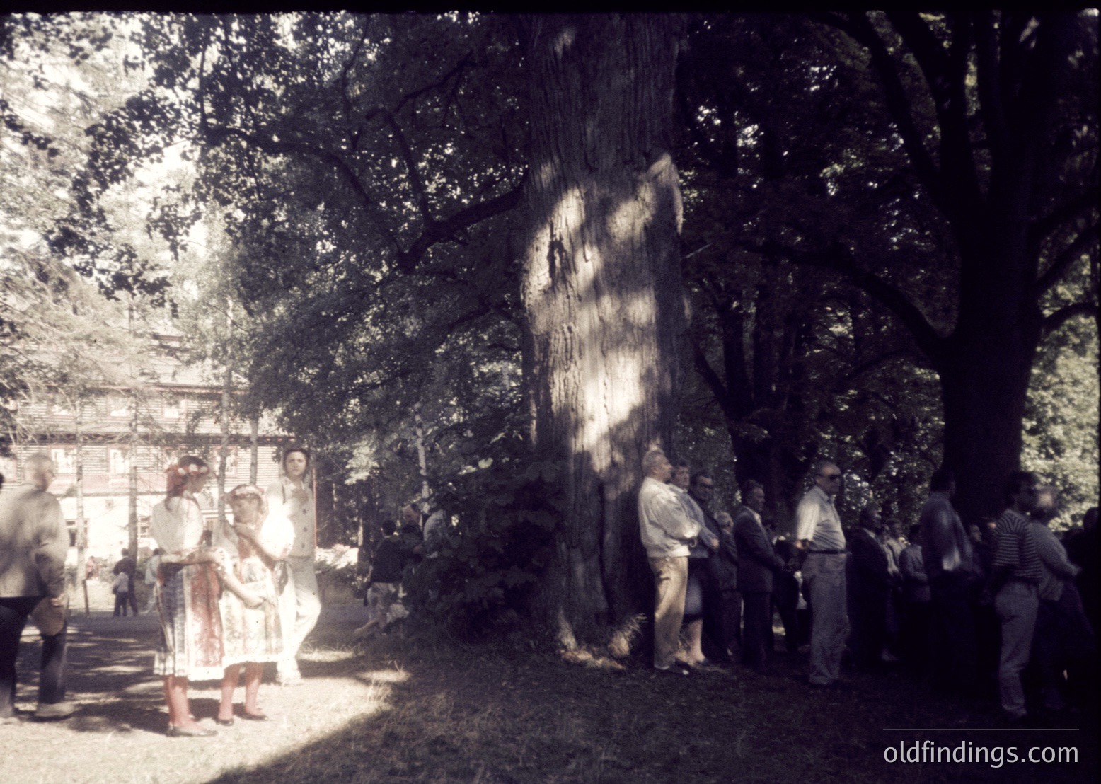 Vintage sepia-toned photo of a large, ancient tree trunk displayed outdoors, surrounded by a crowd in traditional attire. Stone base suggests historical or cultural significance. Likely Eastern European setting, mid-20th century.