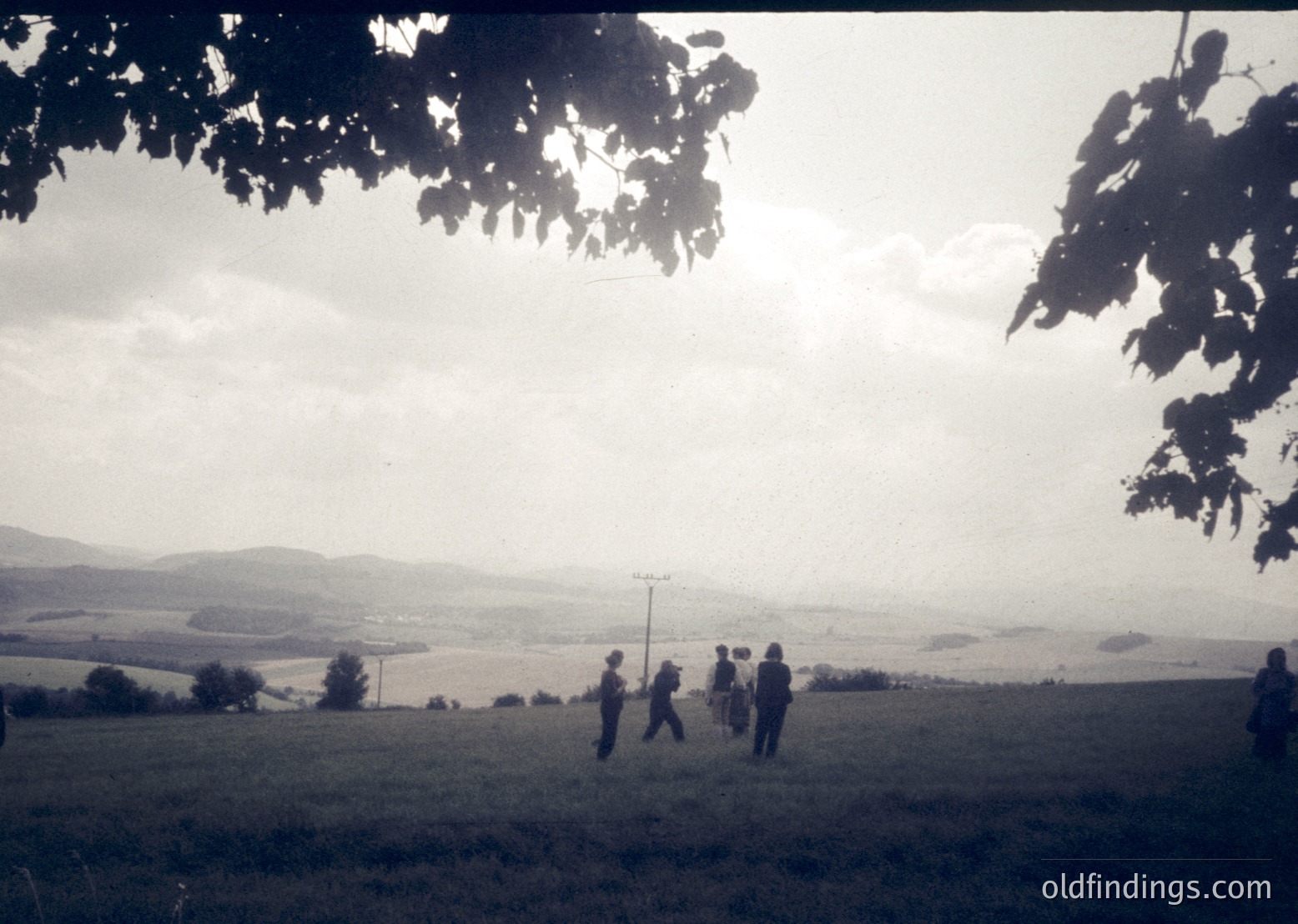 Vintage black-and-white photo of a group of hikers ascending a grassy hillside, framed by tree branches. Rolling countryside and distant hills create a serene backdrop. Mid-20th century outdoor activity, likely or .