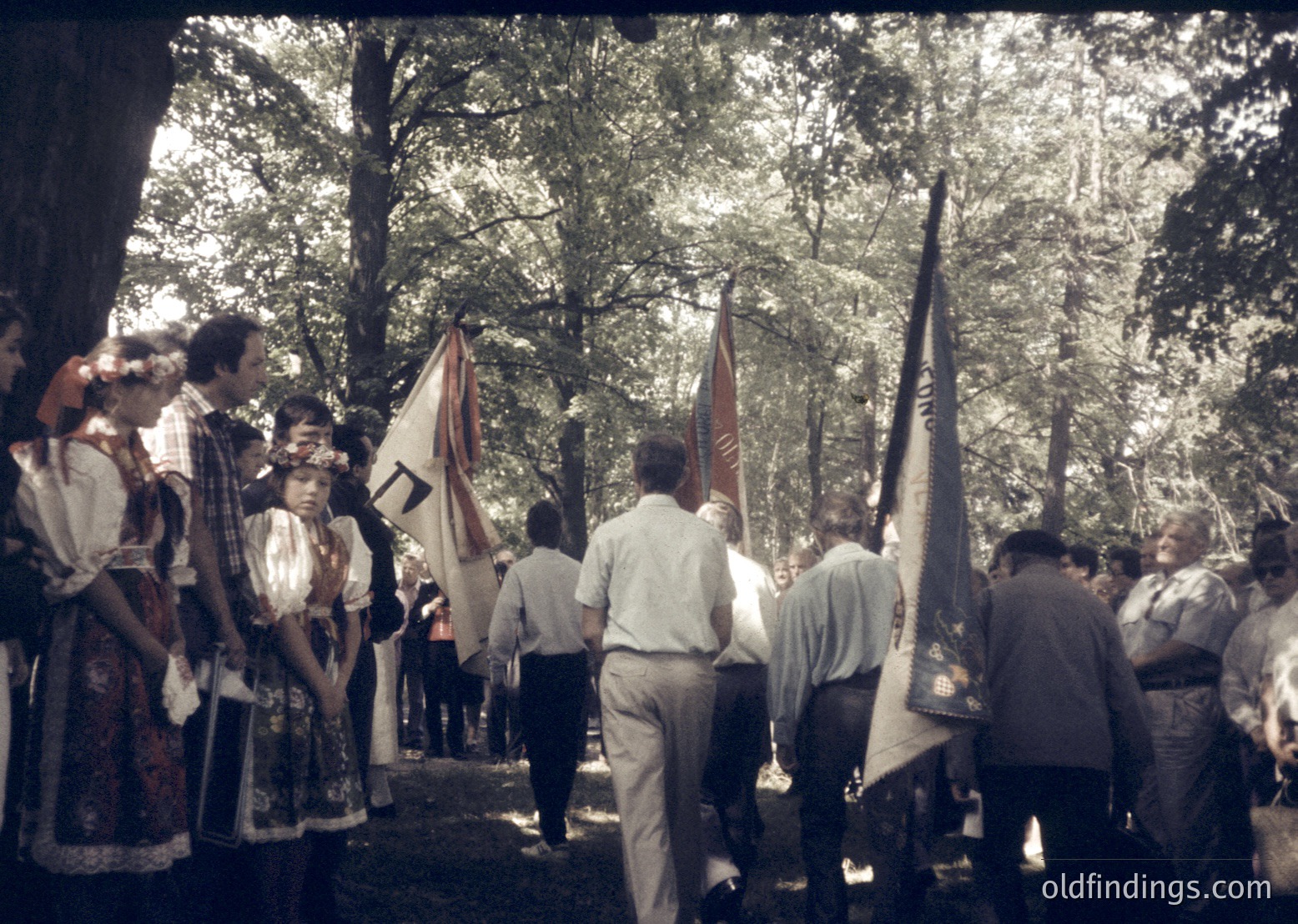Group procession in forested area, likely Eastern European . Participants wear traditional folk attire and carry flags with symbols resembling the Bulgarian coat of arms. Dense pine trees frame the scene, suggesting a rural or park setting.