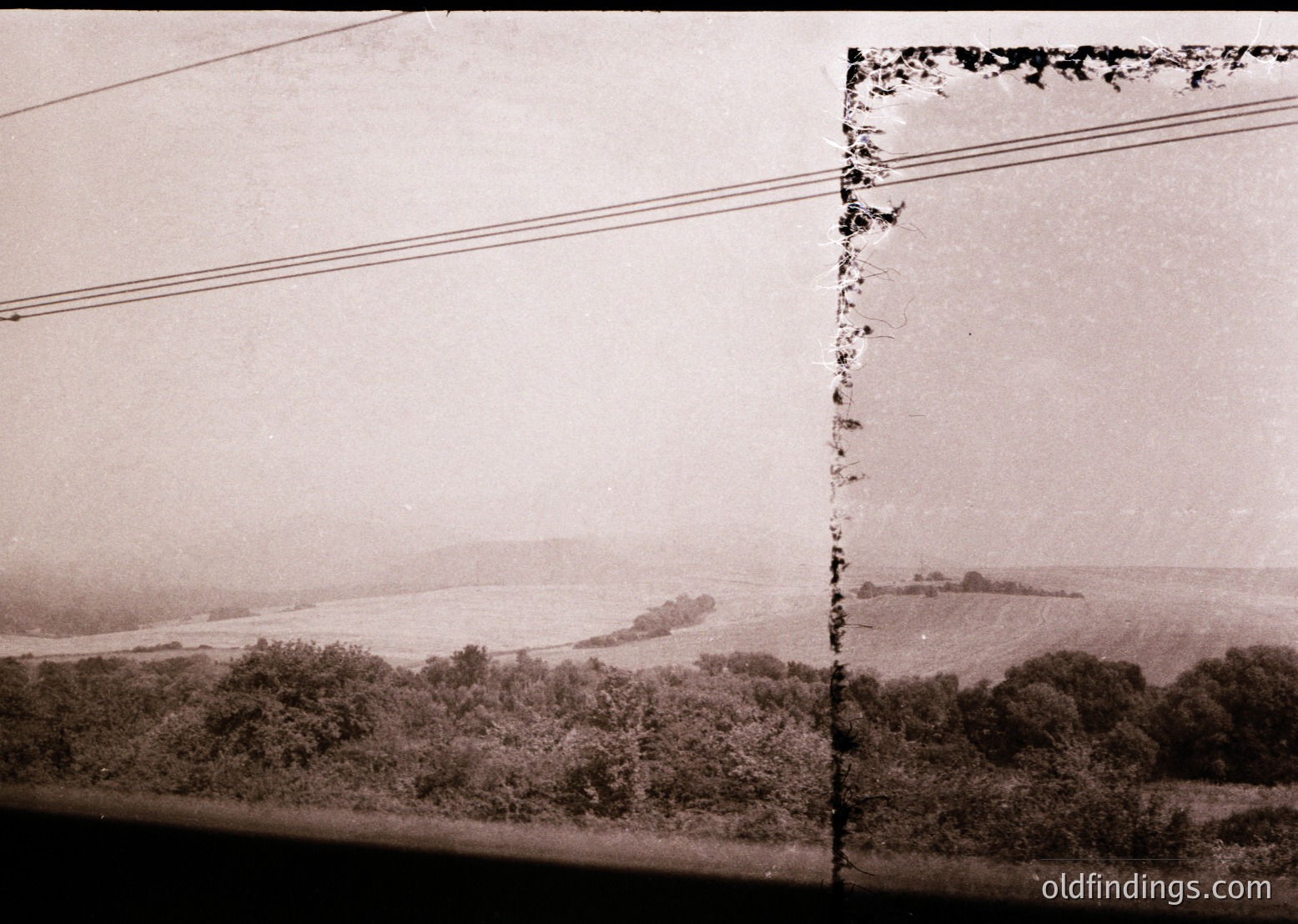 Vintage sepia-toned coastal landscape with dense greenery framing a distant shoreline and water body. Damaged corner reveals aged paper texture, suggesting early 20th-century photography. Overhead power lines add industrial contrast to natural scenery.