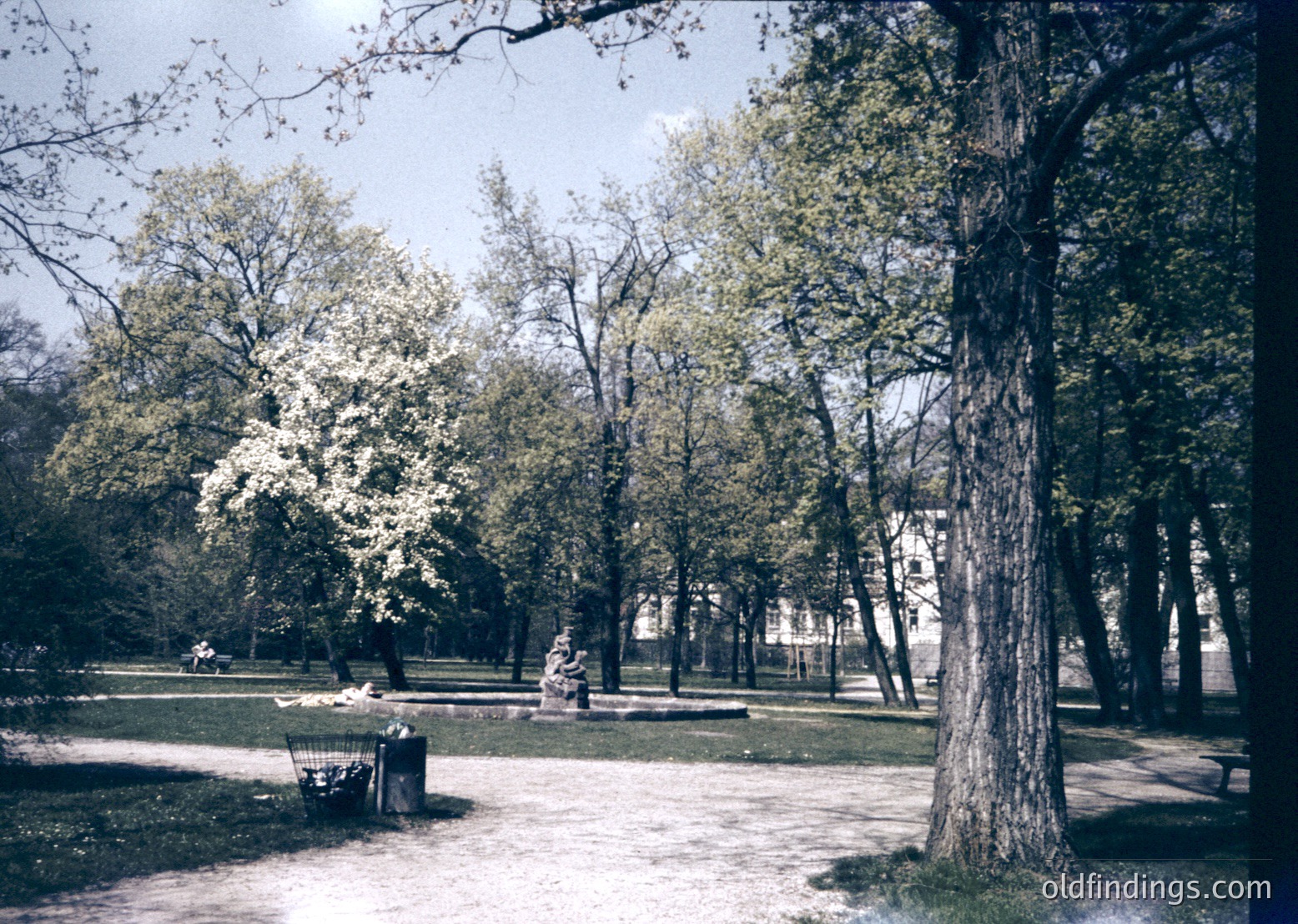 Vintage sepia-toned park scene with mature trees, paved paths, and a lone bench. Soft lighting suggests early morning or late afternoon. Possible urban park from the mid-20th century.