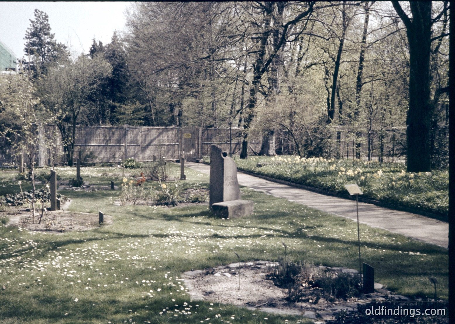 Vintage sepia-toned cemetery pathway flanked by mature trees and headstones, featuring a central concrete monument and circular flowerbeds.