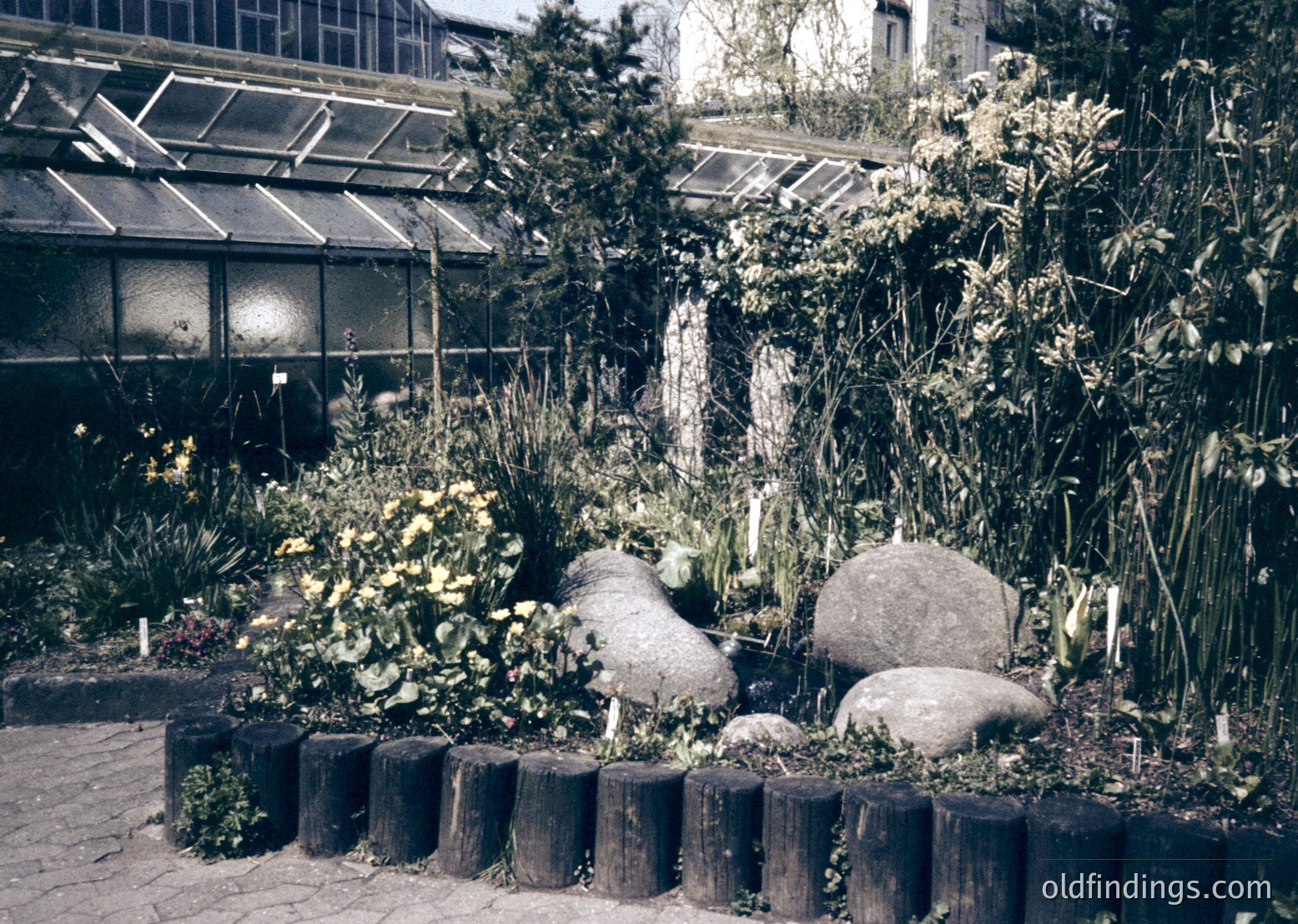 Vintage botanical garden scene with glasshouse in background, featuring lush foliage, blooming flowers, and large stone planters. Mid-20th century horticultural design.