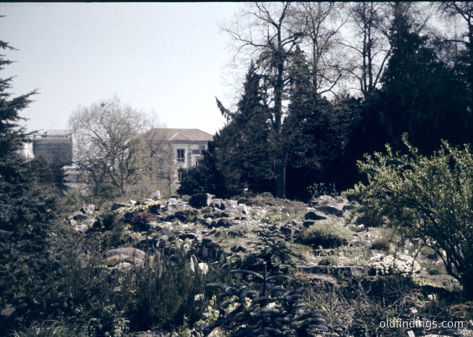 Vintage black-and-white shot of a rocky hillside with sparse vegetation, framed by leafless trees. Mid-century modernist building with flat roof and large windows in background, suggesting institutional or residential use. Likely Eastern European urban park or campus setting.