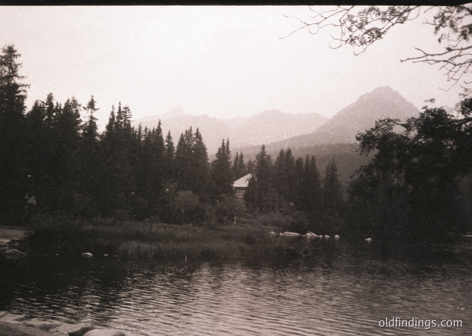 Black-and-white alpine lake scene with dense coniferous forest framing a serene water body. Distant peaks shrouded in mist, a single cabin nestled near shore. Classic mid-20th century mountain retreat aesthetic.