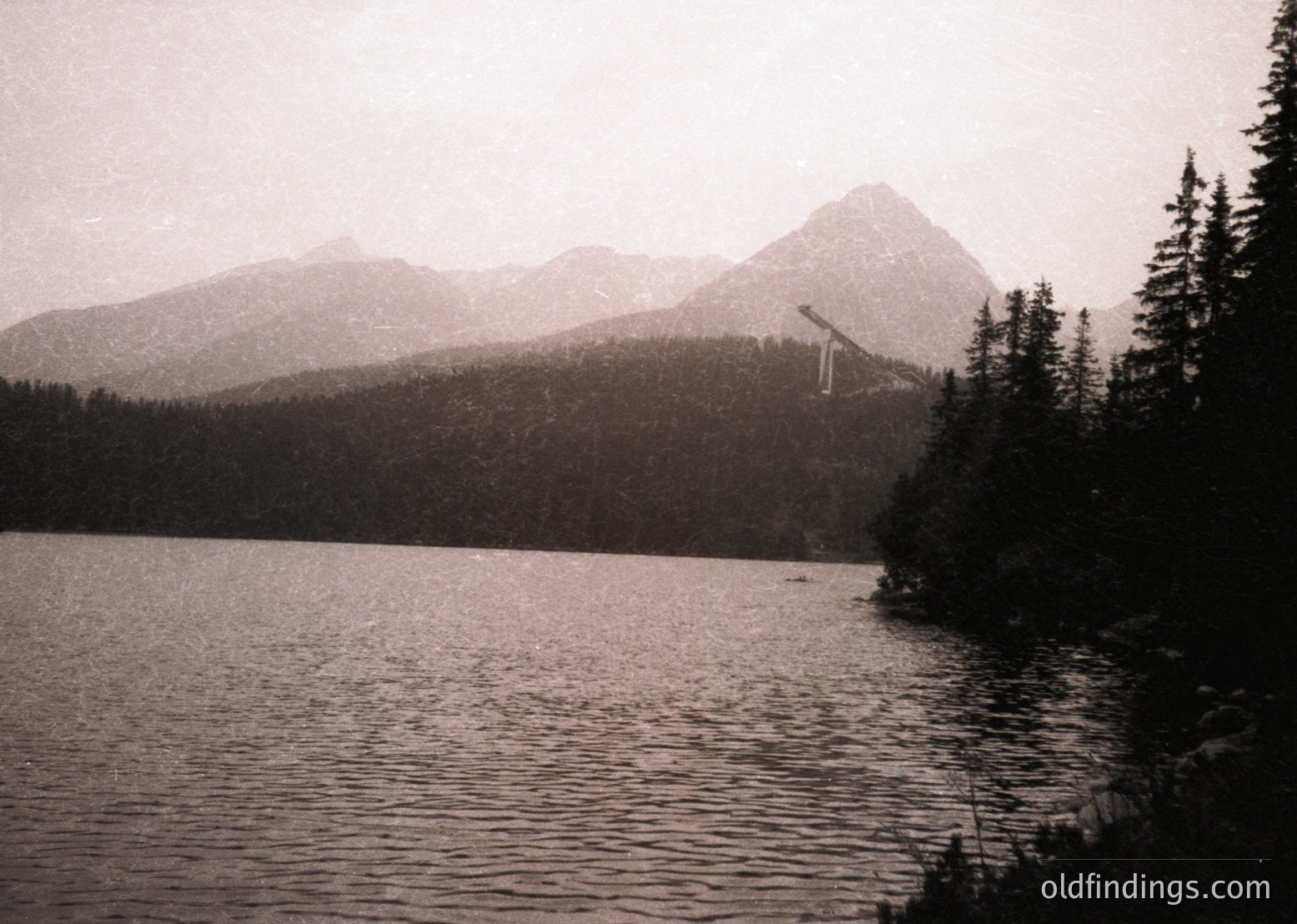 Black-and-white alpine lake framed by dense coniferous forest and jagged peaks, evoking early 20th-century travel photography. The misty mountain range and serene water suggest a remote, untouched natural setting, likely in the European Alps or similar region.
