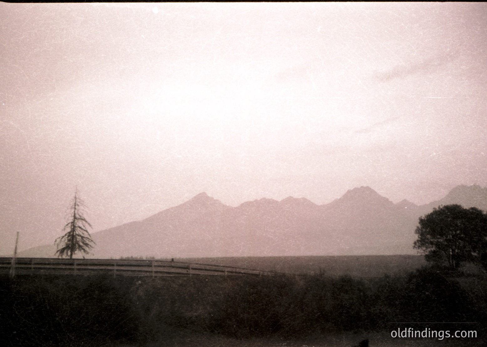 Vintage sepia-toned landscape featuring misty mountain range with jagged peaks. Wooden fence and lone evergreen tree frame foreground. Fog obscures midground, enhancing dramatic atmosphere. Likely early 20th-century European countryside.