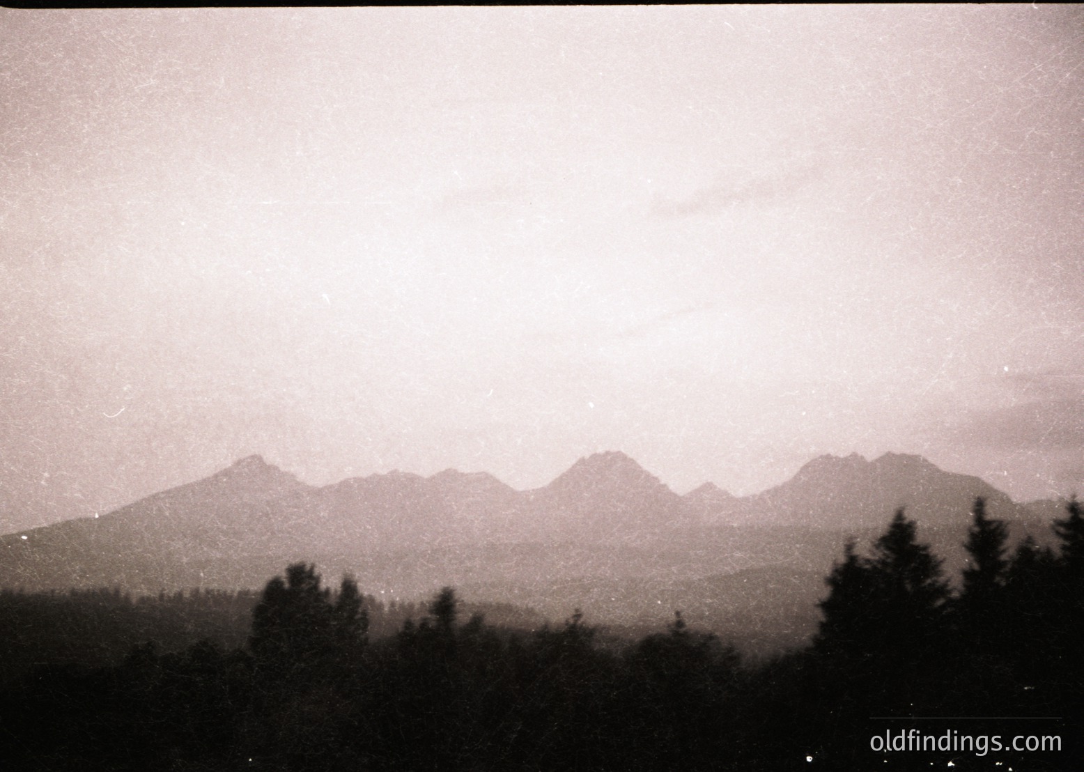 Vintage sepia-toned mountain range with misty peaks and dense forest foreground. Likely captured with early 20th-century film grain.