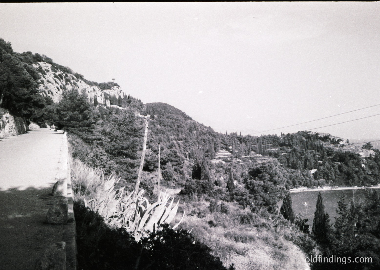 Black-and-white coastal roadside scene with rugged cliffs and dense vegetation. A lone utility pole and power lines stretch across the frame, leading to a distant building. Mid-20th century infrastructure suggests midcentury modern or post-war development.