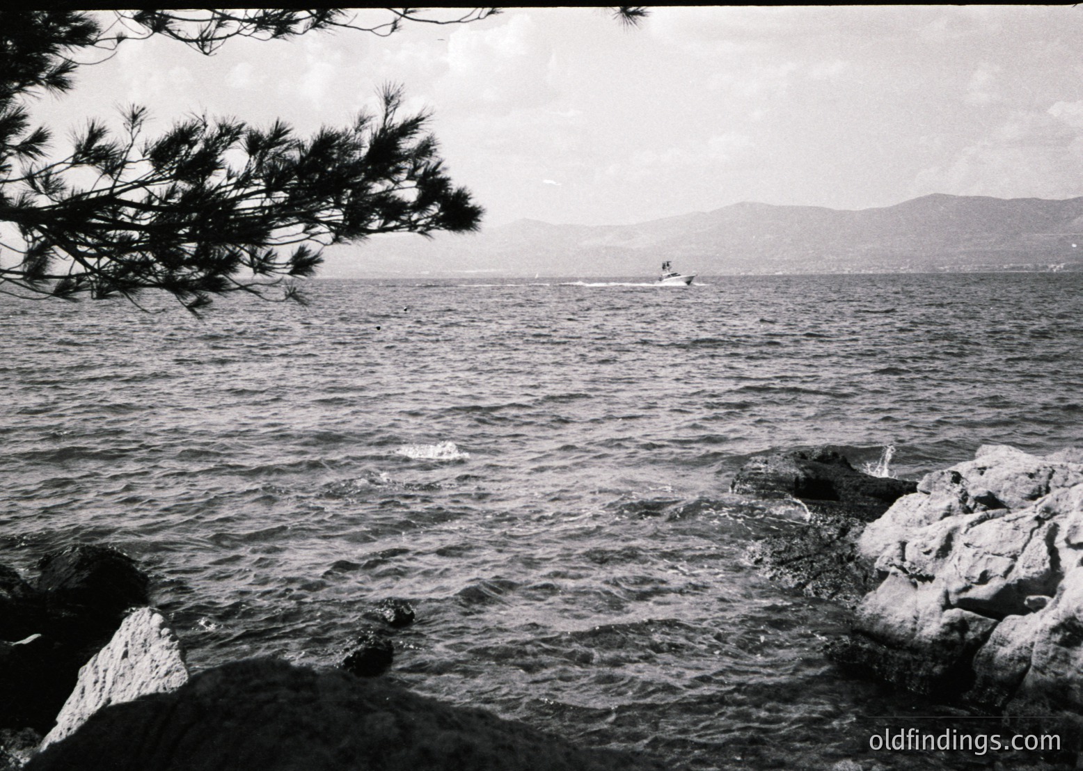 Black-and-white coastal scene featuring turbulent waves crashing against jagged rocks. Distant sailboat glides on calm waters under overcast skies, with pine branches framing the left edge. Mountain range faintly visible in background. Evokes mid-20th century maritime photography.