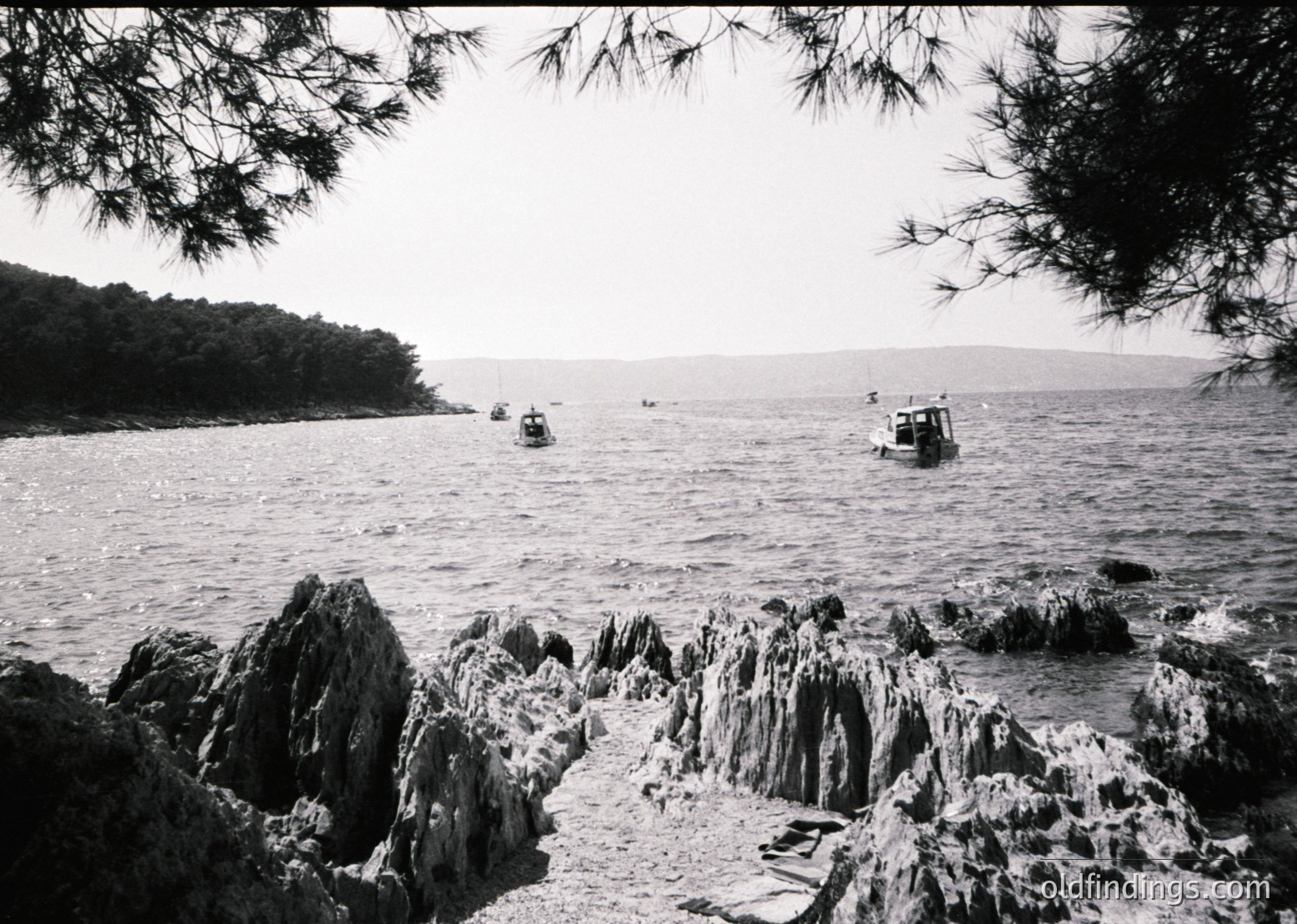 Black-and-white coastal scene featuring jagged rock formations in the foreground and calm waters with three small boats anchored offshore. Dense pine branches frame the top edge. Likely mid-20th century seaside or fishing activity.