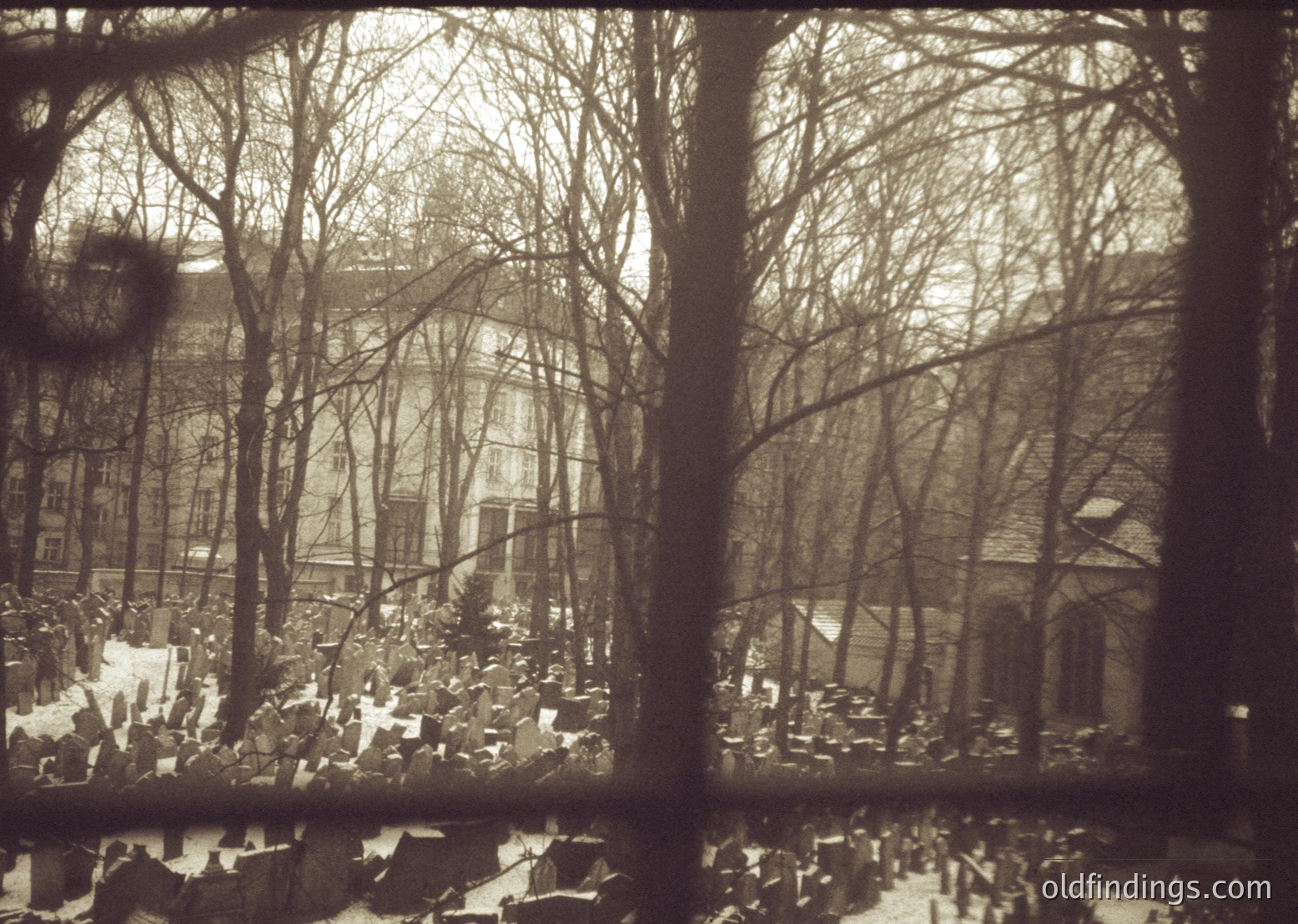 Vintage sepia-toned photograph showing urban devastation: shattered buildings, debris, and skeletal trees framing a bombed street. Likely European wartime scene, 1940s. Architectural ruins suggest historical preservation research value.